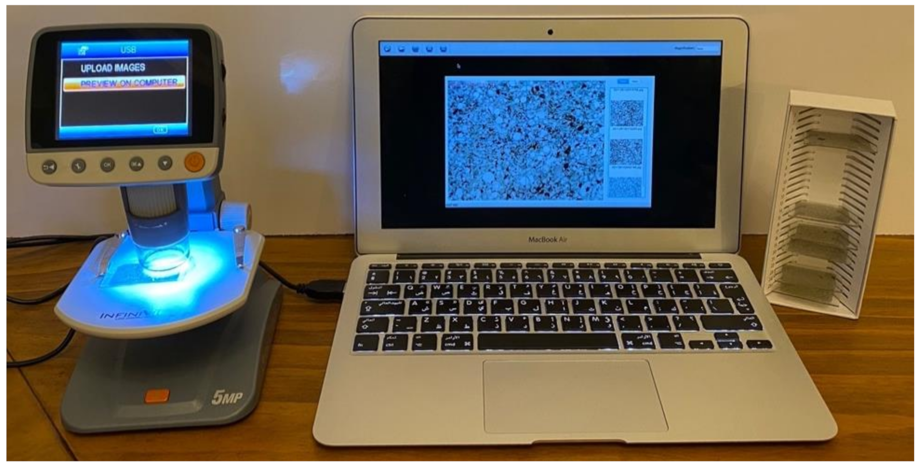 Minerals 11 00081 g009 Minerals 11 00081 g009