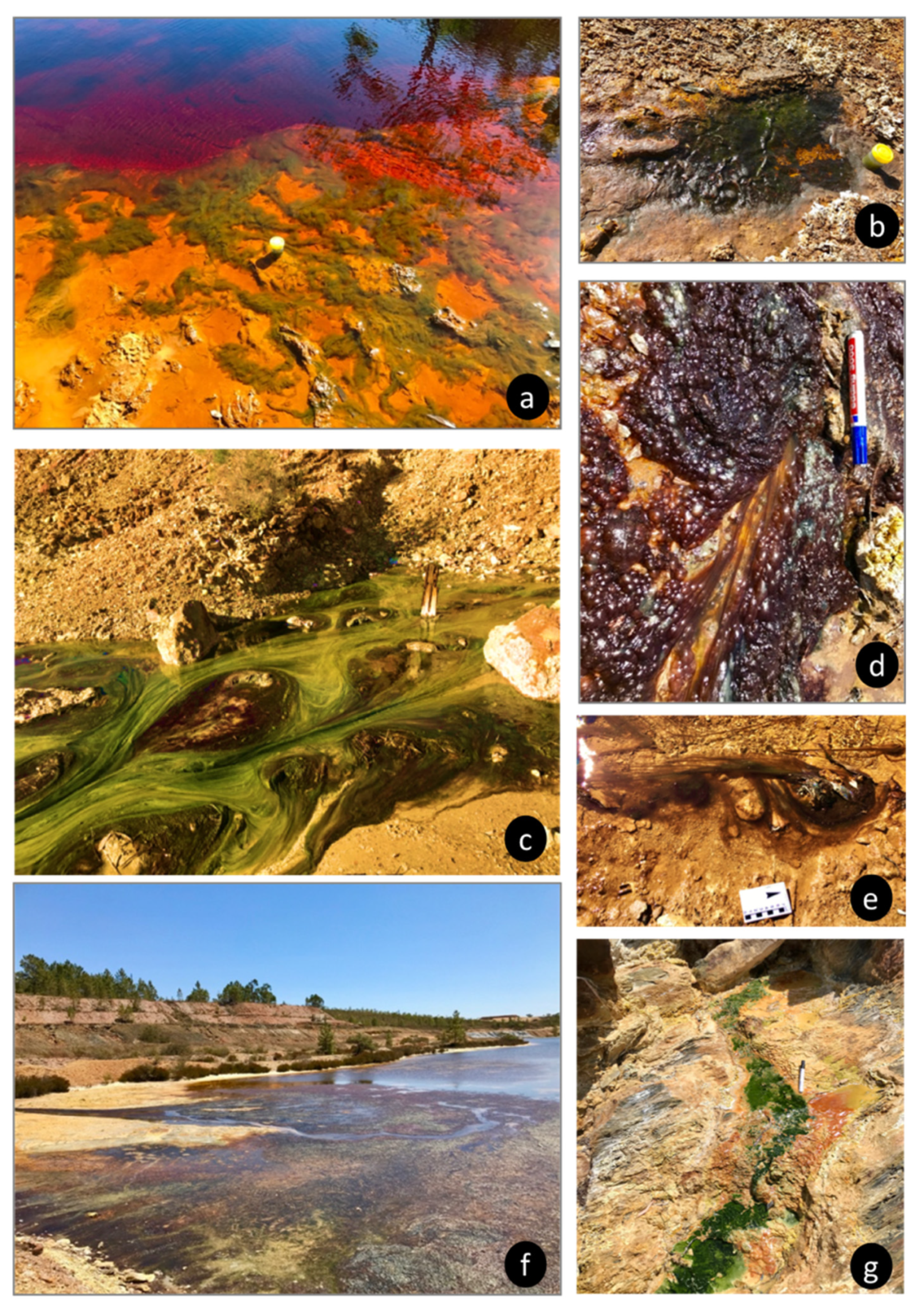 Minerals 11 00110 g004 Minerals 11 00110 g004