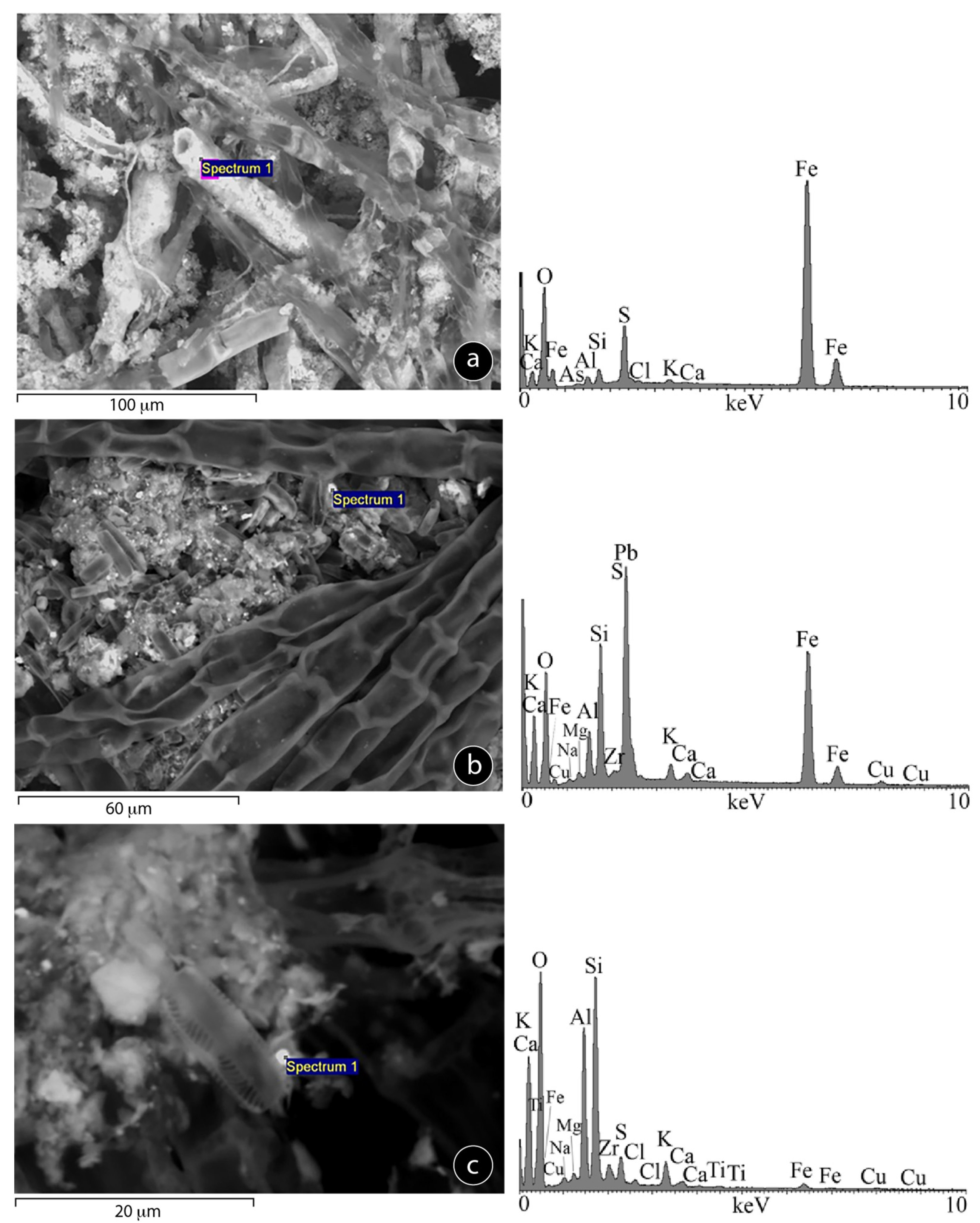 Minerals 11 00110 g006 Minerals 11 00110 g006