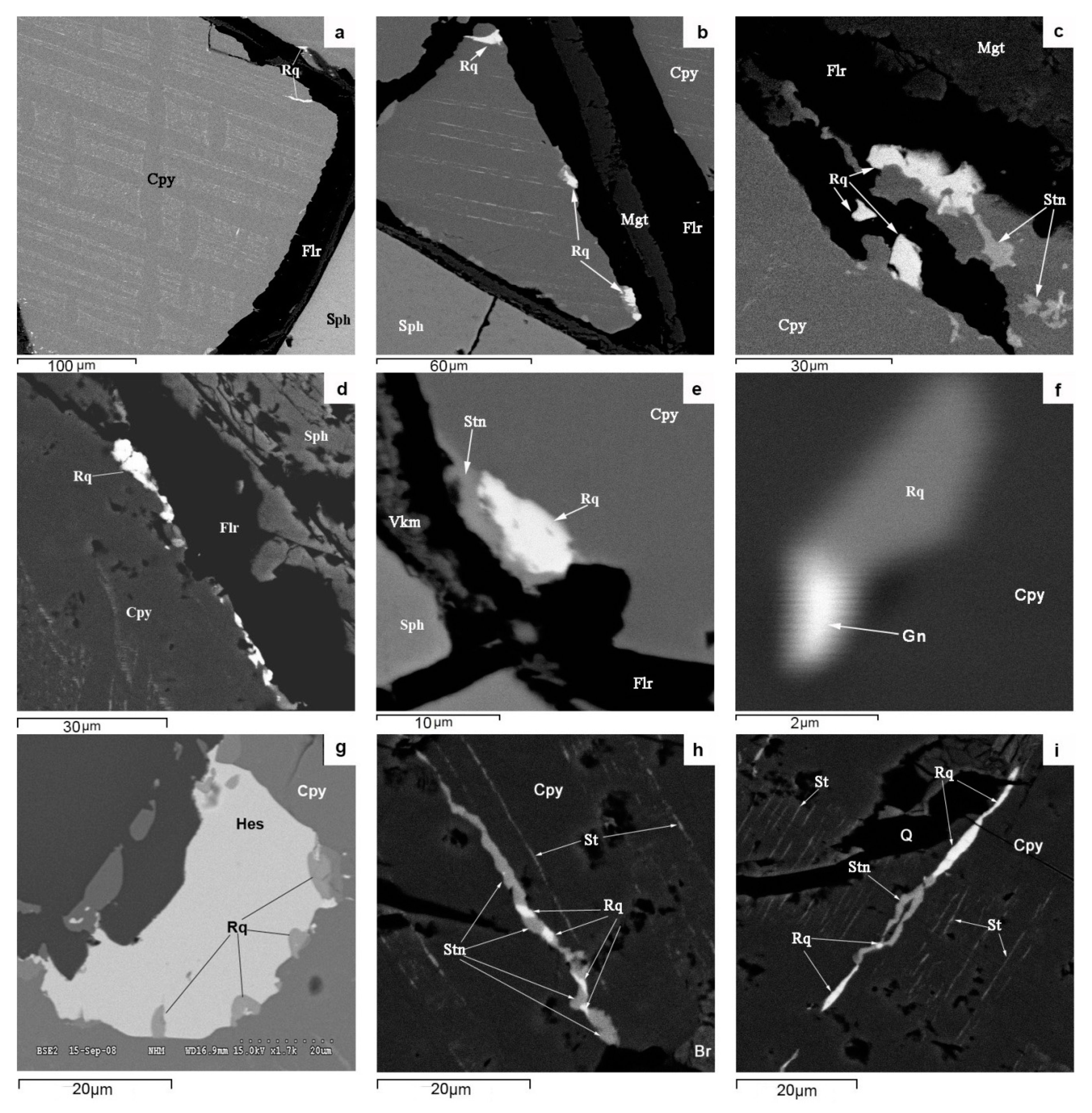 Minerals Free Full Text Rare Metal In Bi Te Se Be Mineralization Of Skarn Ores In The Pitkaranta Mining District Ladoga Karelia Russia Html Minerals Free Full Text Rare Metal In Bi Te Se Be Mineralization Of Skarn Ores In The Pitkaranta Mining District Ladoga Karelia Russia Html