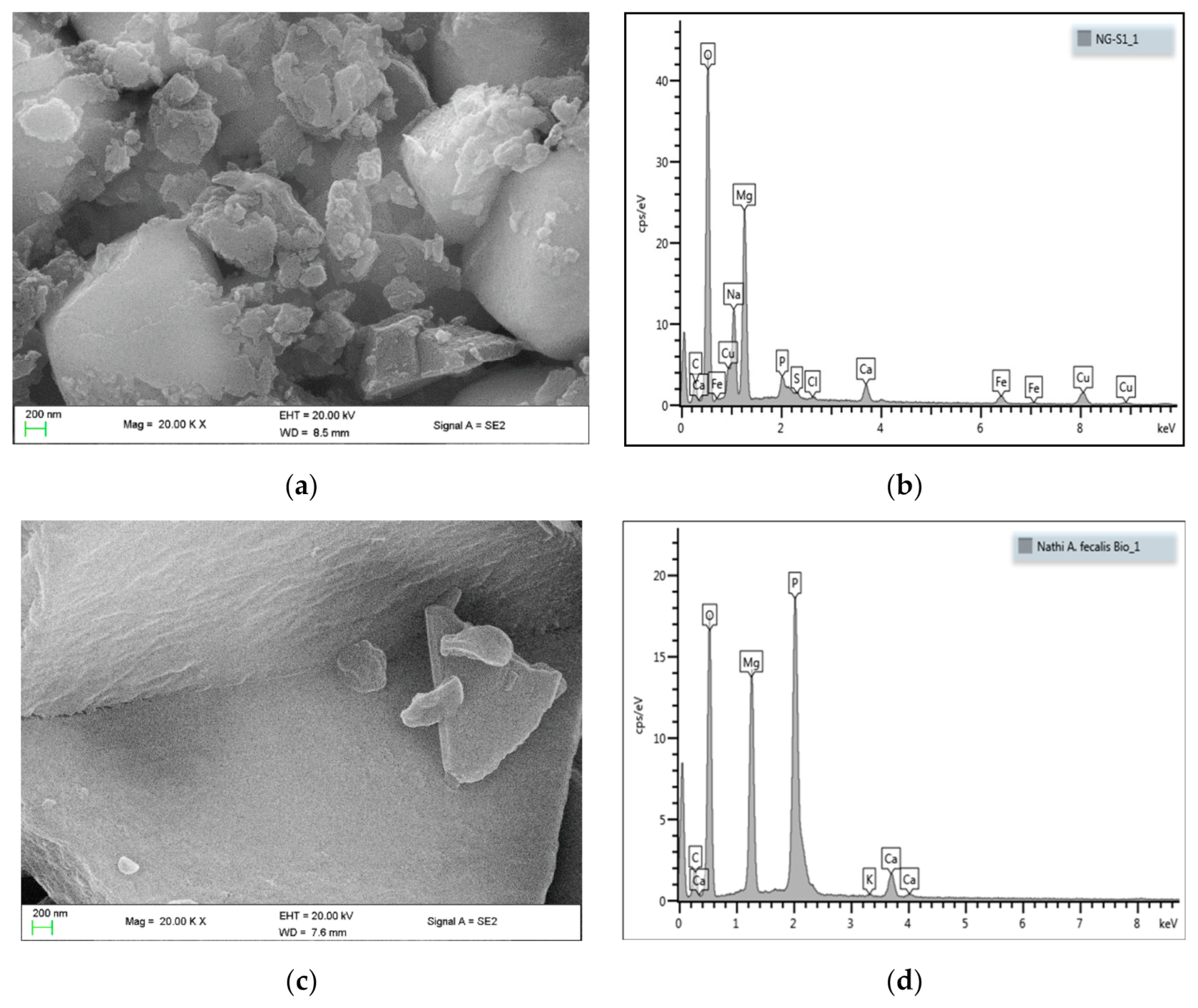 Minerals 11 00132 g003