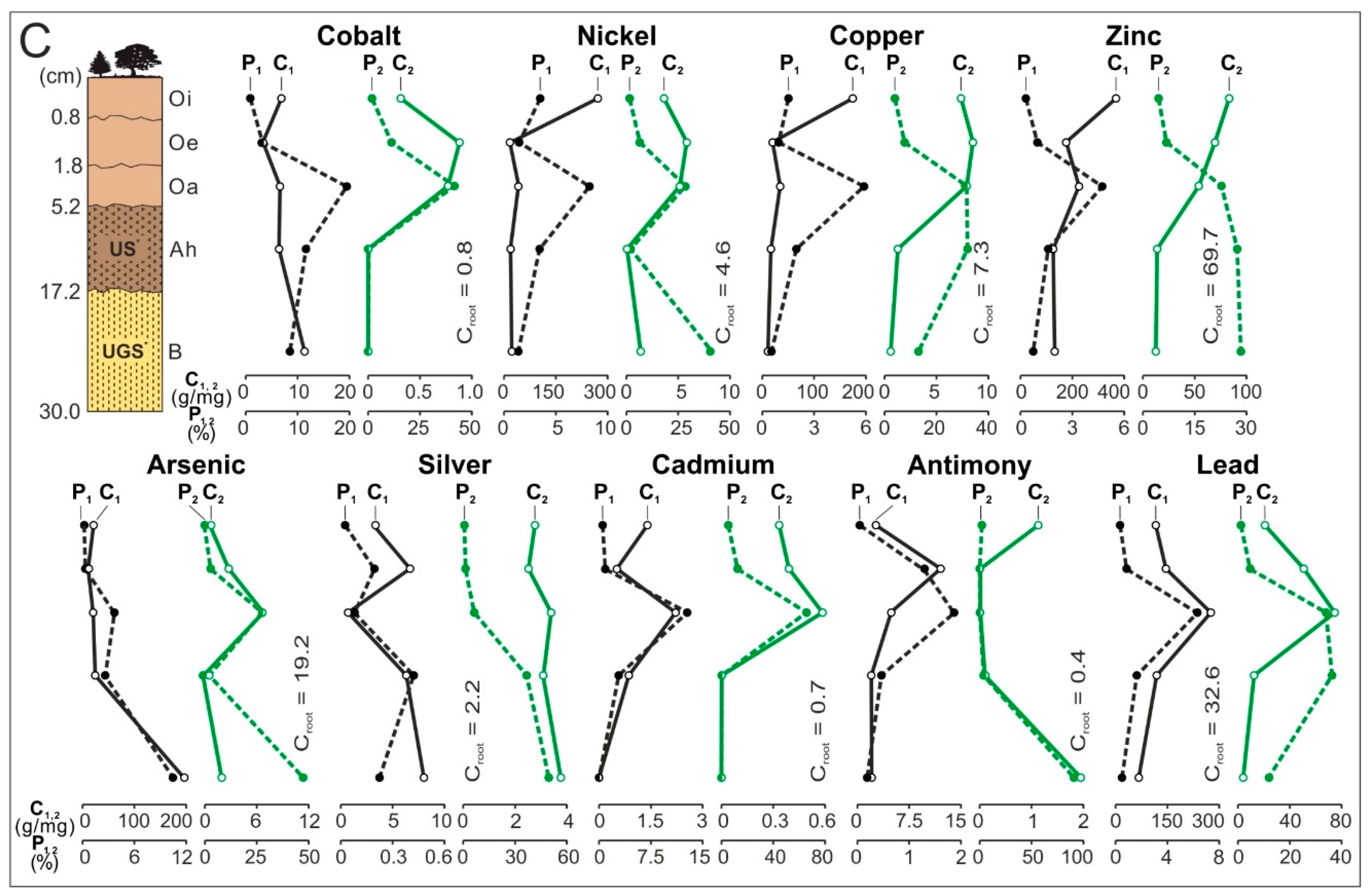 Minerals 11 00133 g003b Minerals 11 00133 g003b
