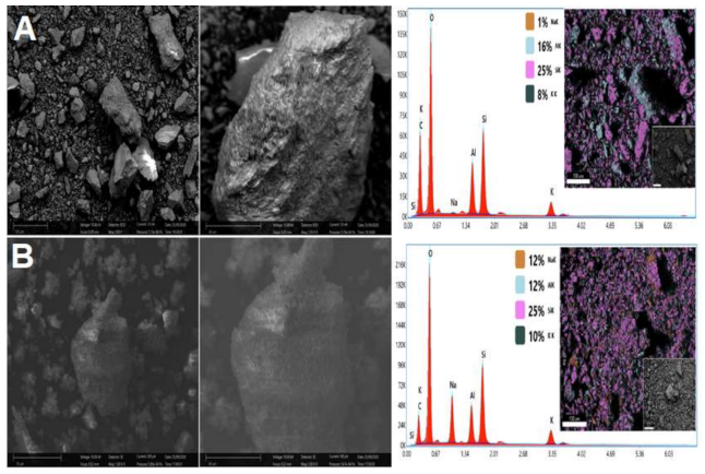 Minerals 11 00140 g006
