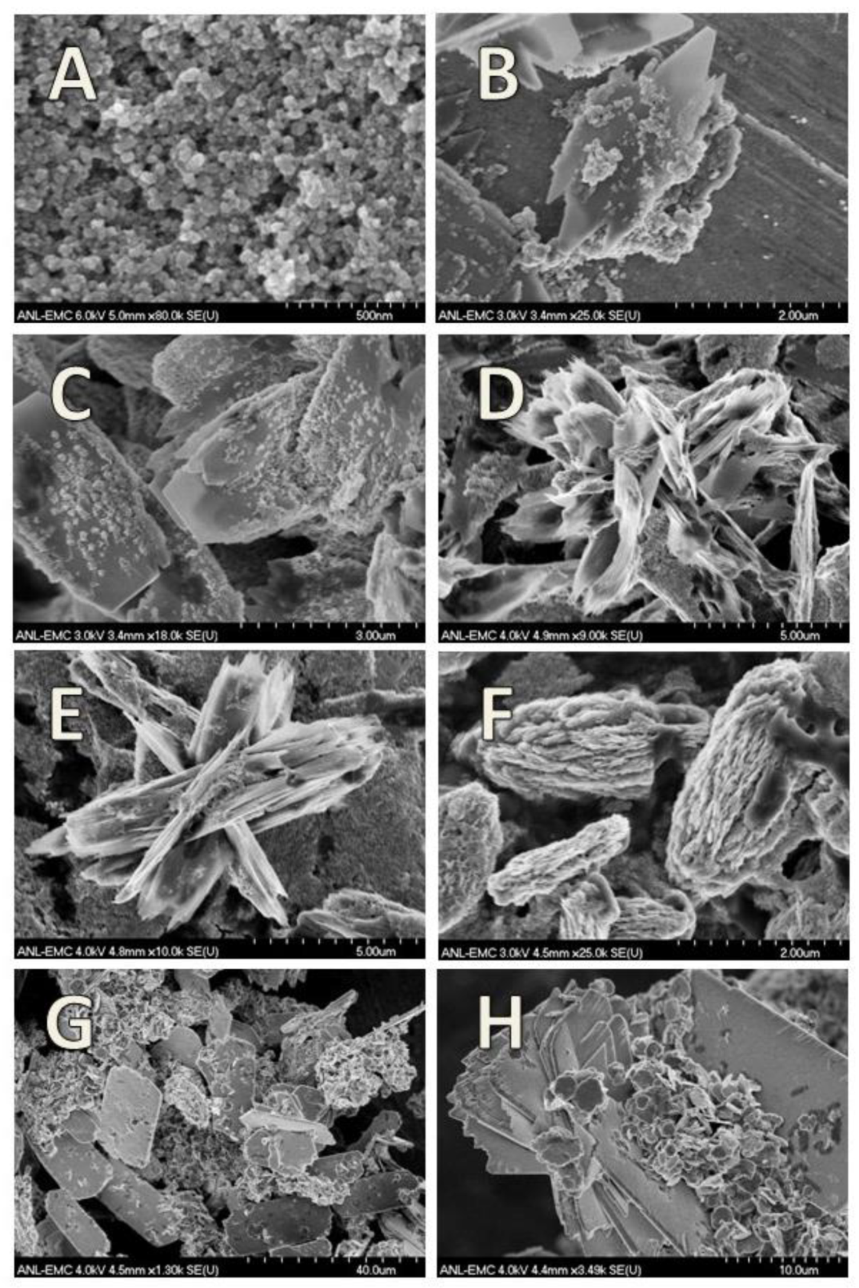Minerals 11 00149 g014 Minerals 11 00149 g014