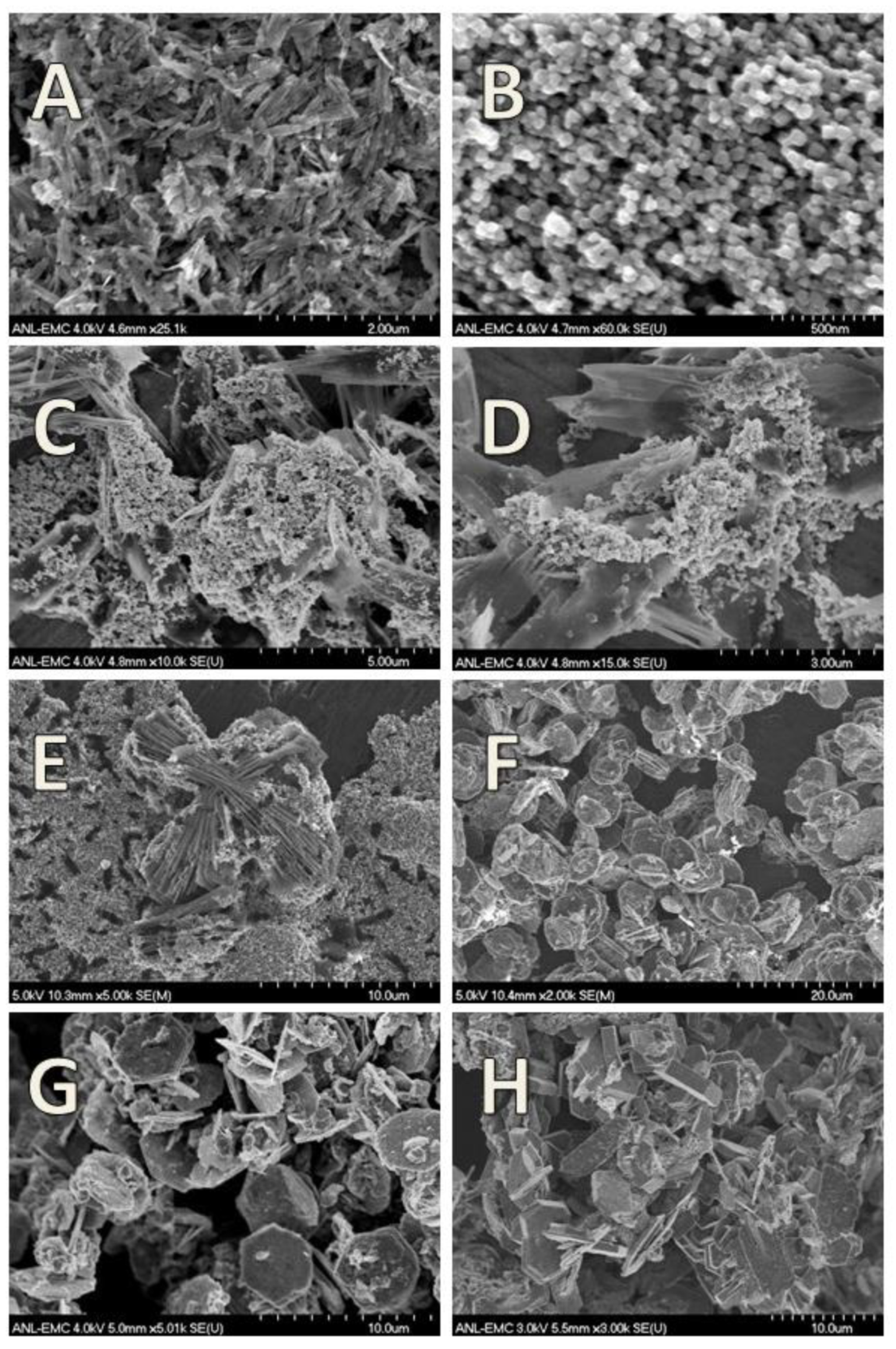 Minerals 11 00149 g017 Minerals 11 00149 g017