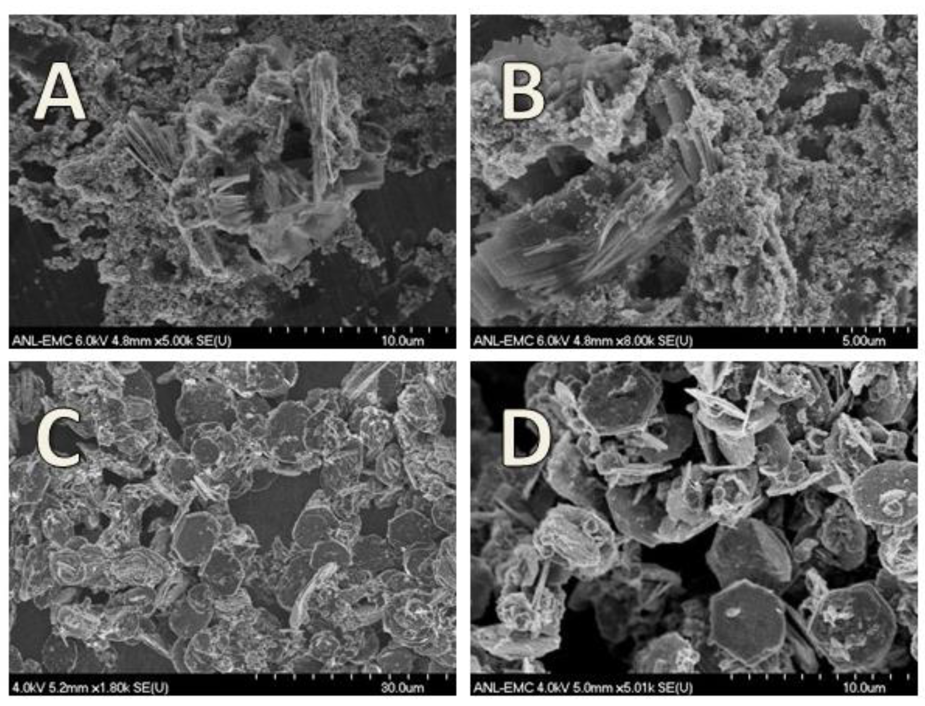 Minerals 11 00149 g021 Minerals 11 00149 g021
