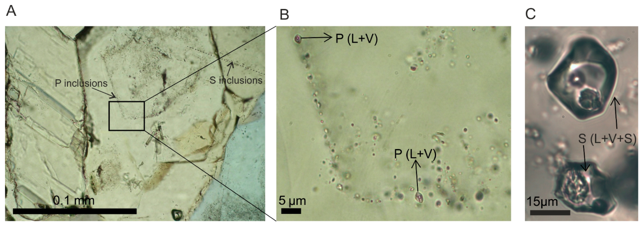 Minerals 11 00165 g008 Minerals 11 00165 g008