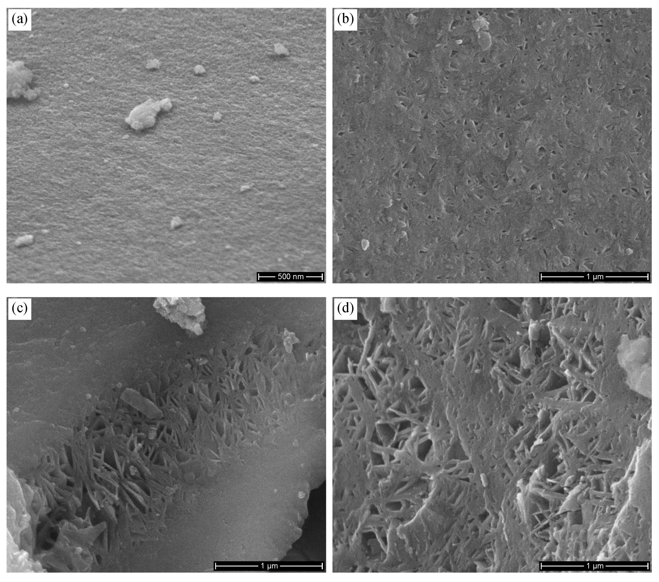 Minerals 11 00173 g003 Minerals 11 00173 g003