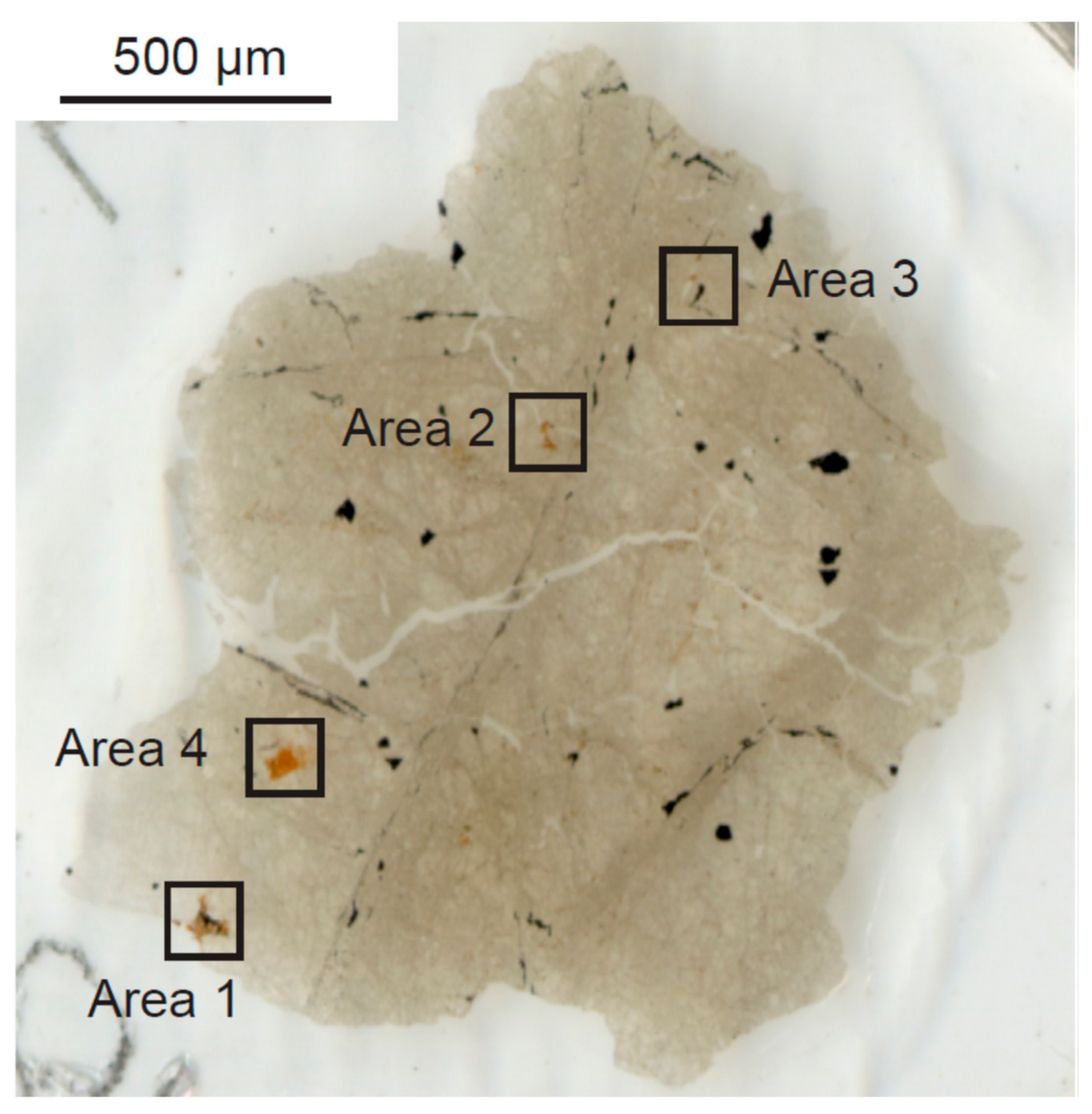 Minerals 11 00176 g001