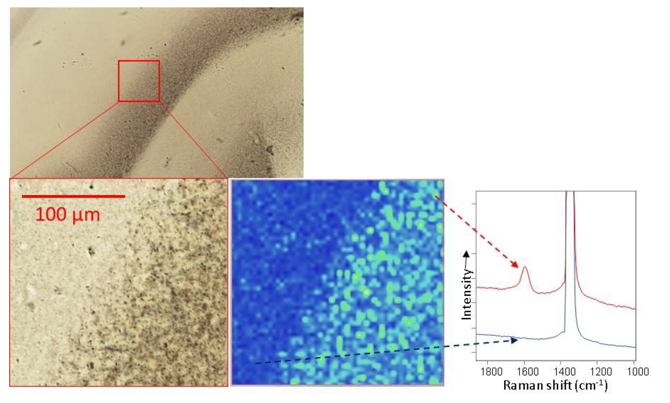Minerals 11 00177 g006