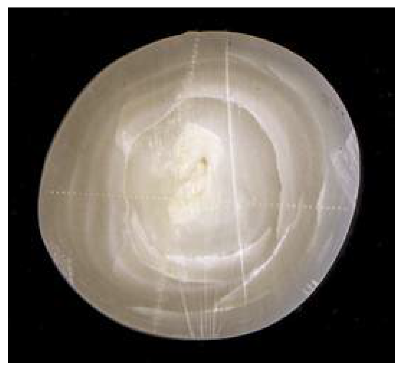 Minerals 11 00177 g030