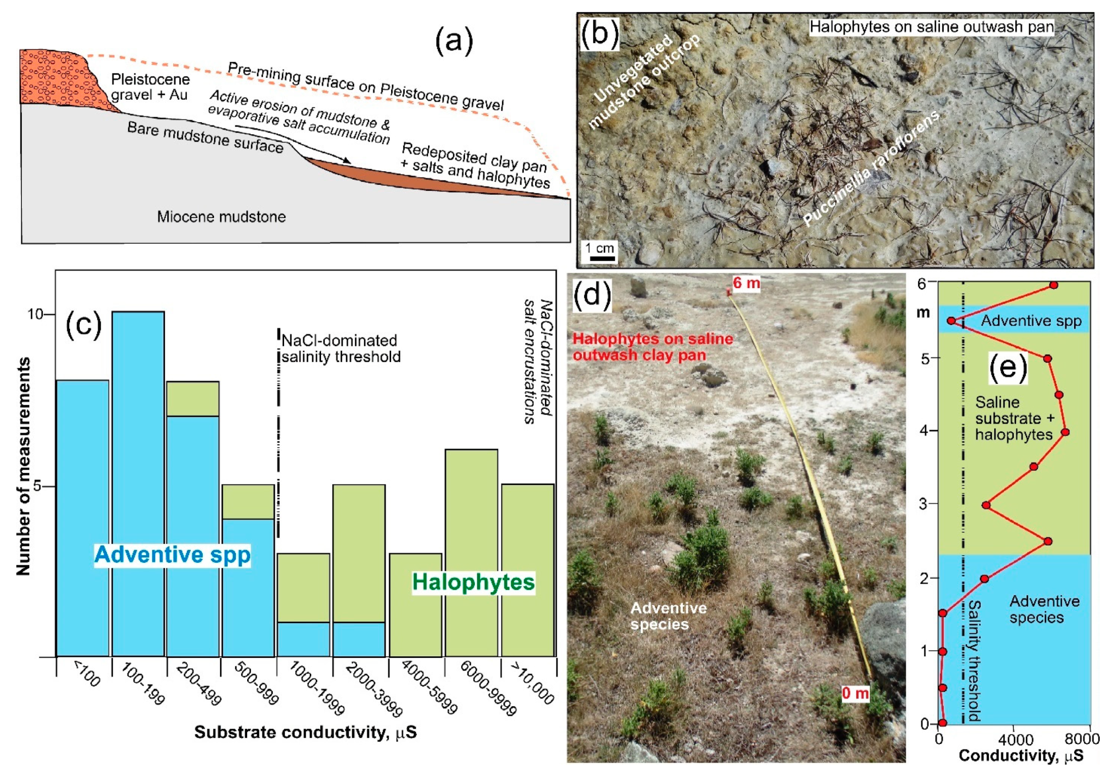 Minerals 11 00181 g004 Minerals 11 00181 g004