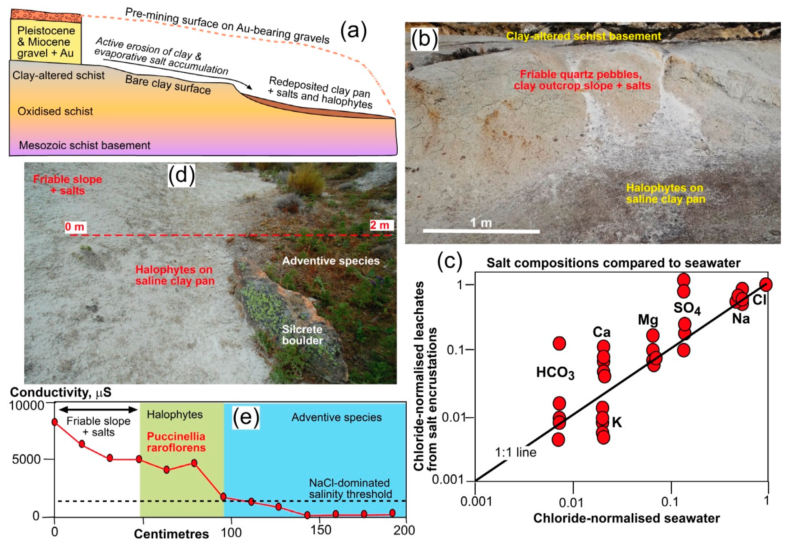 Minerals 11 00181 g005 Minerals 11 00181 g005