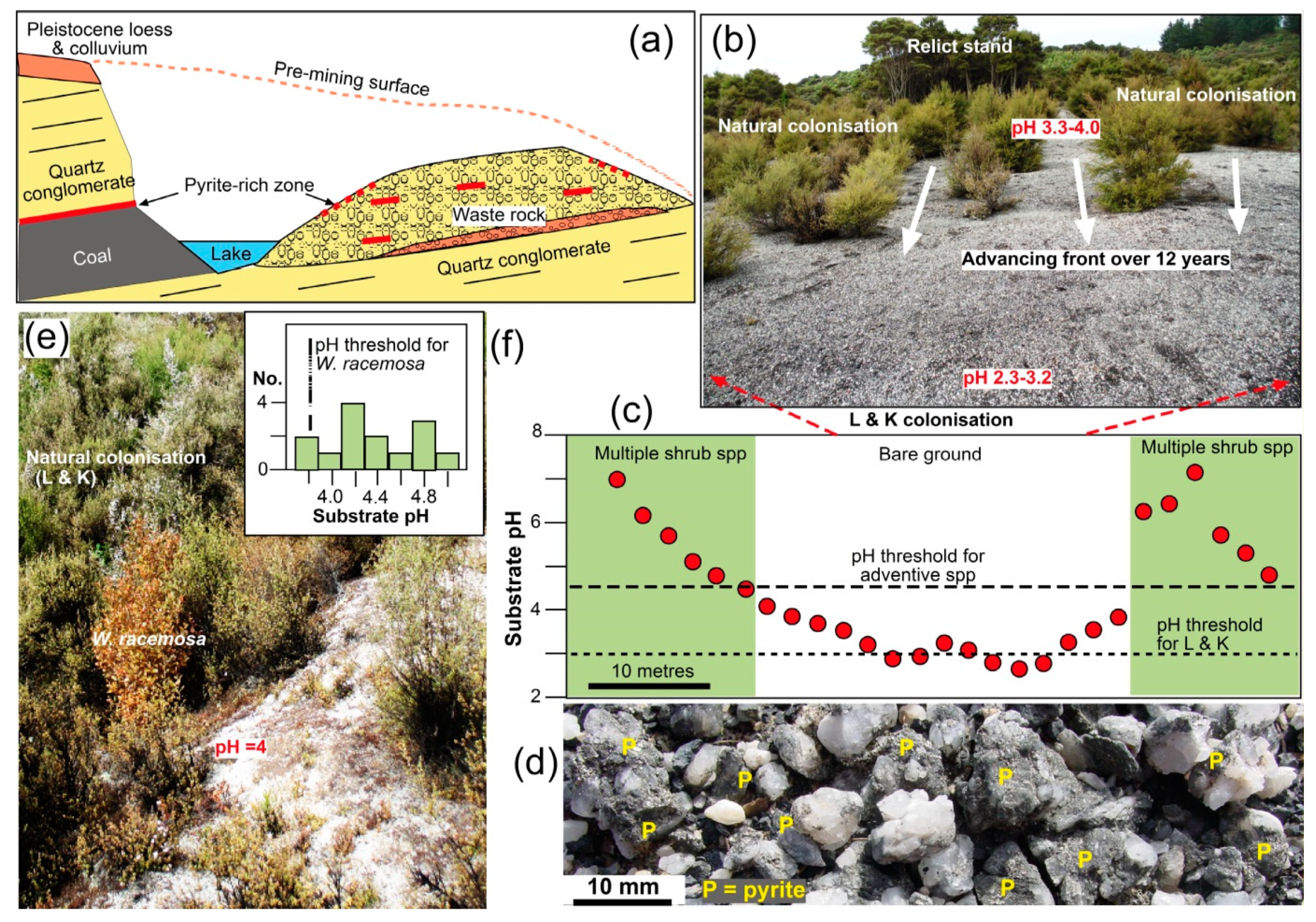 Minerals 11 00181 g006 Minerals 11 00181 g006