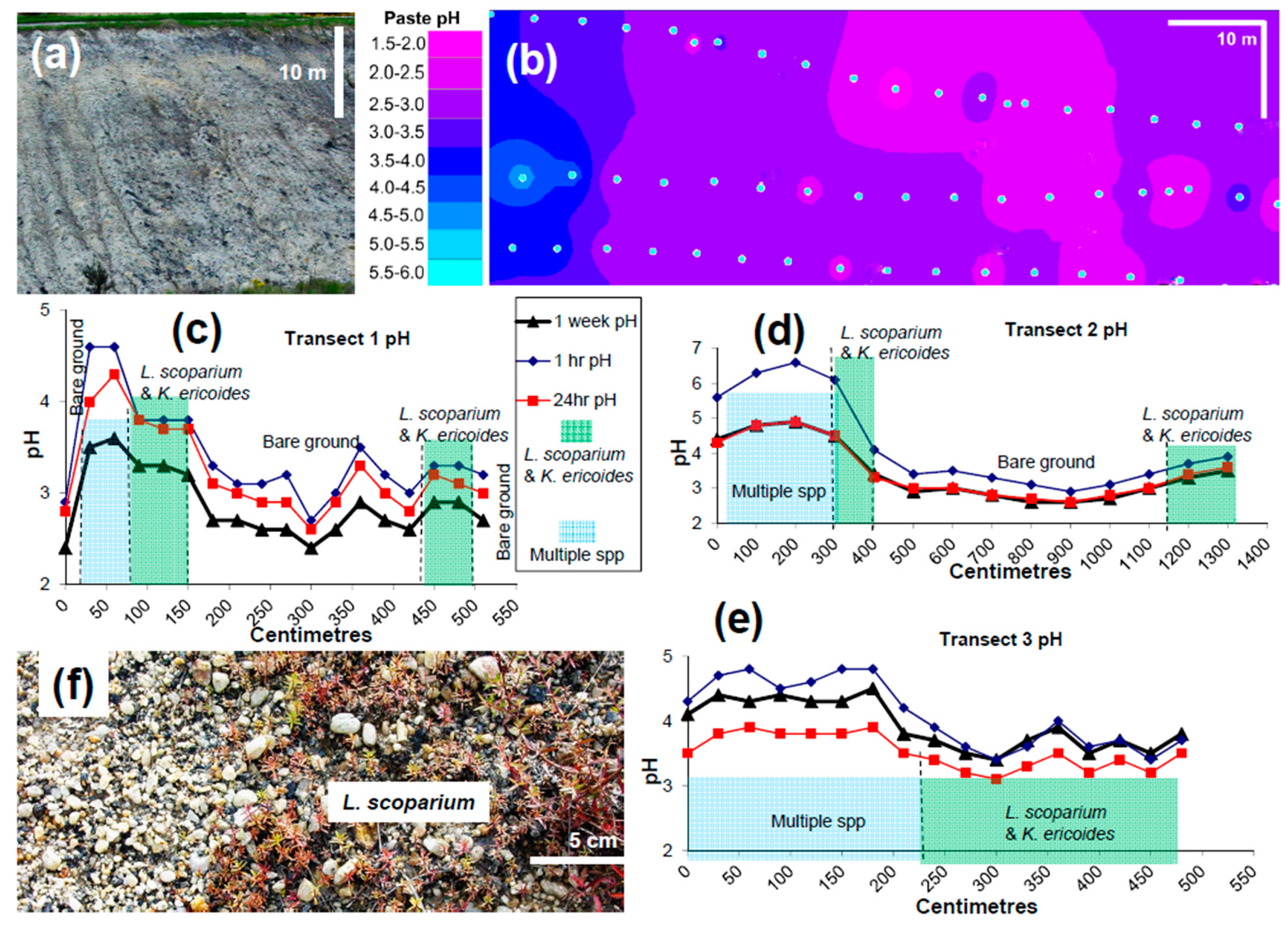 Minerals 11 00181 g007 Minerals 11 00181 g007