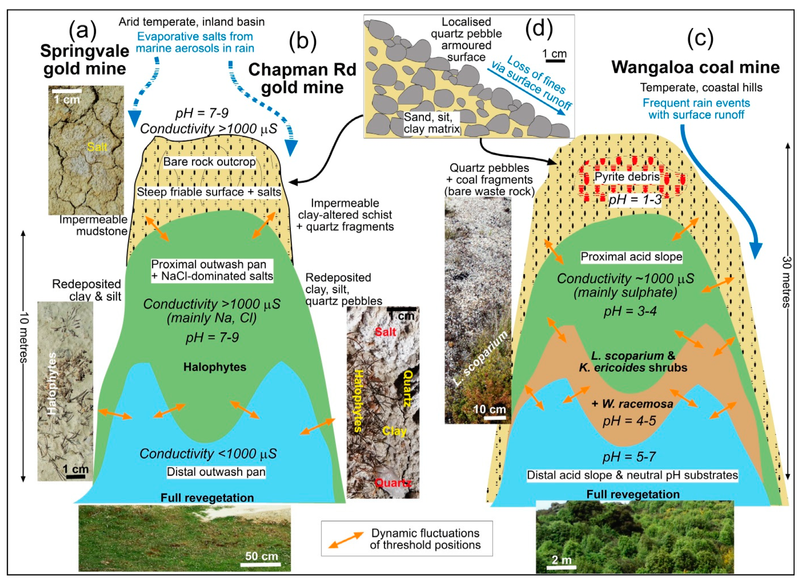 Minerals 11 00181 g008 Minerals 11 00181 g008