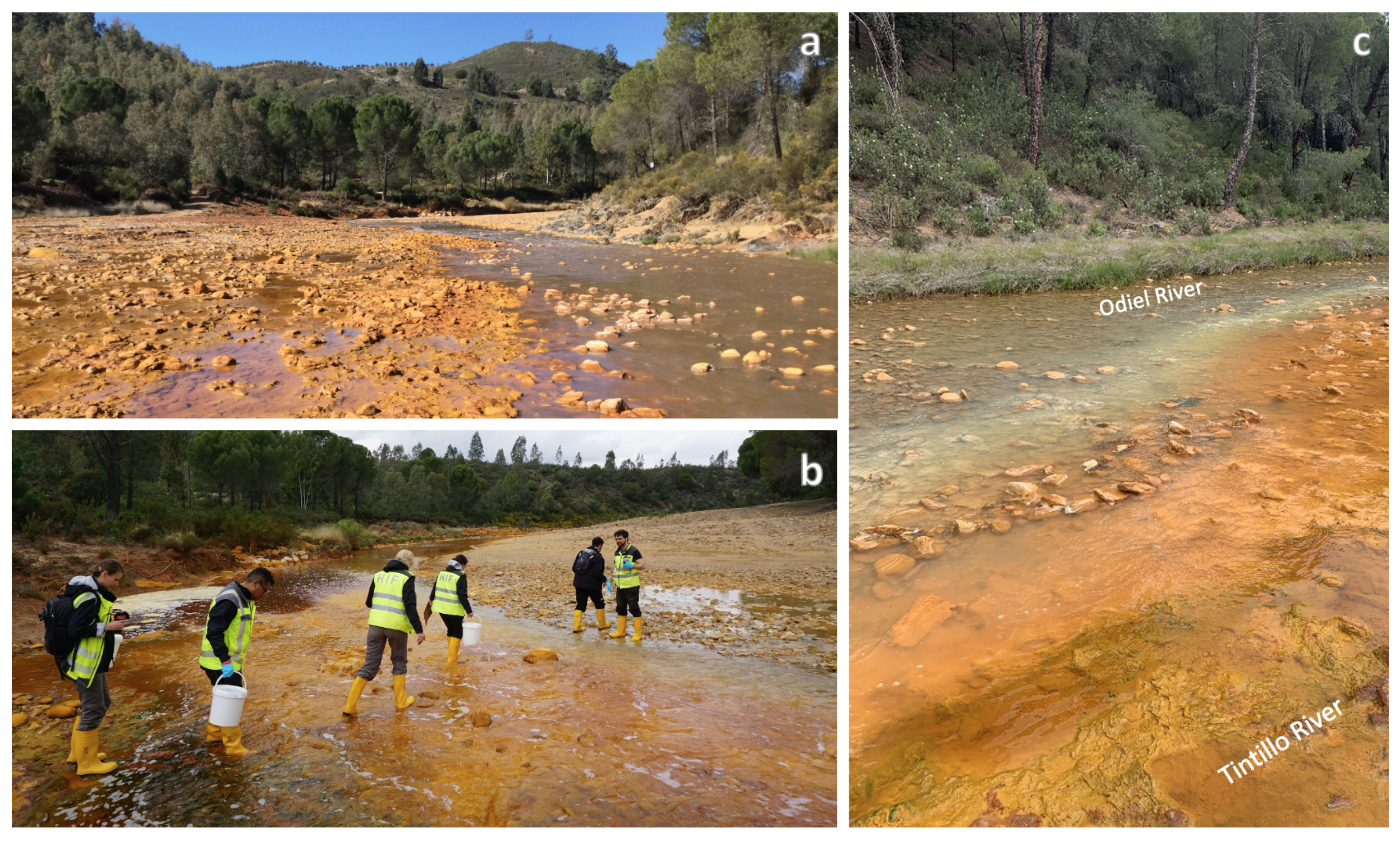 Minerals 11 00182 g002 Minerals 11 00182 g002