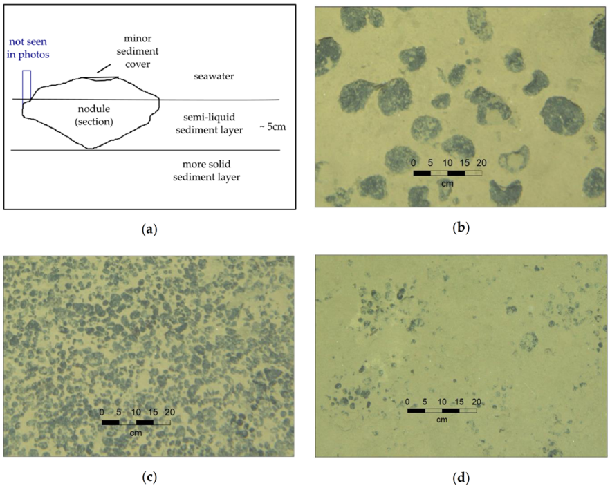 Minerals 11 00200 g005 Minerals 11 00200 g005
