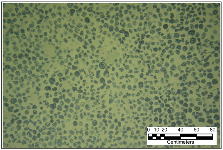 Minerals 11 00200 g007 Minerals 11 00200 g007