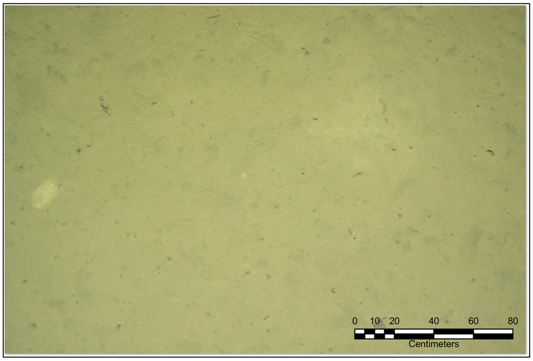 Minerals 11 00200 g011 Minerals 11 00200 g011