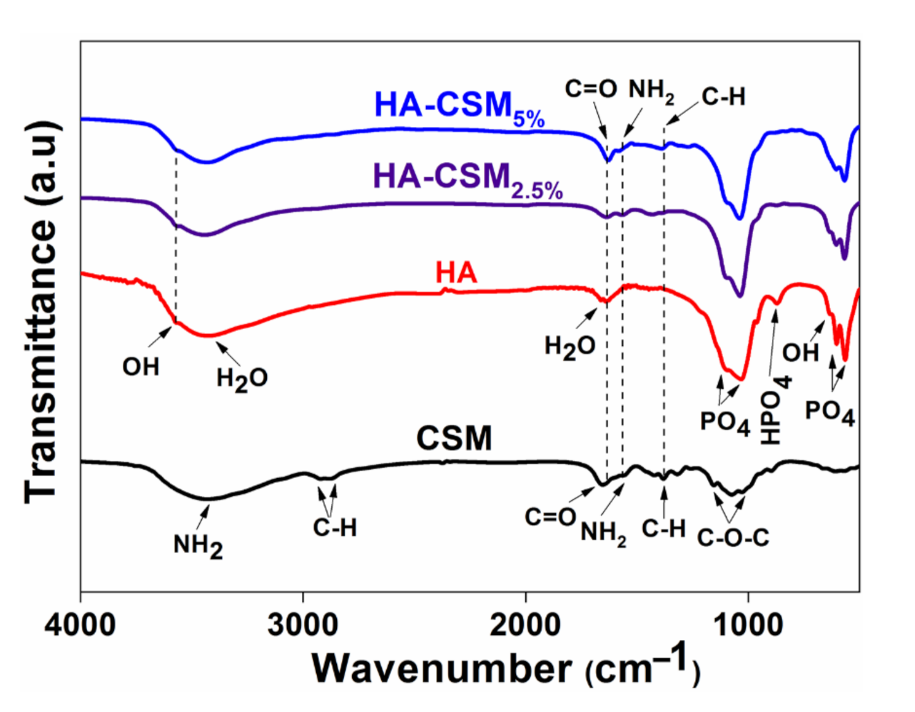 Minerals 11 00213 g002