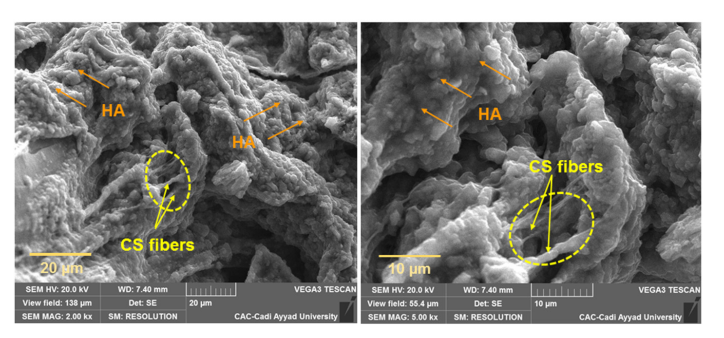 Minerals 11 00213 g003