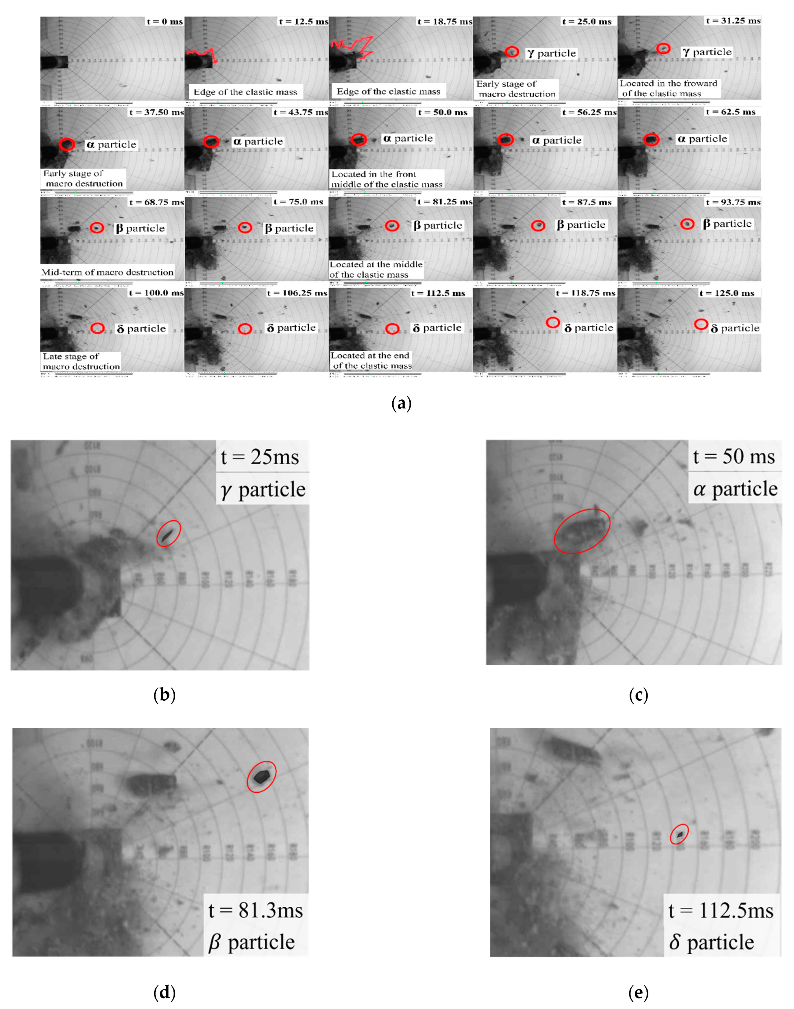 Minerals 11 00217 g005