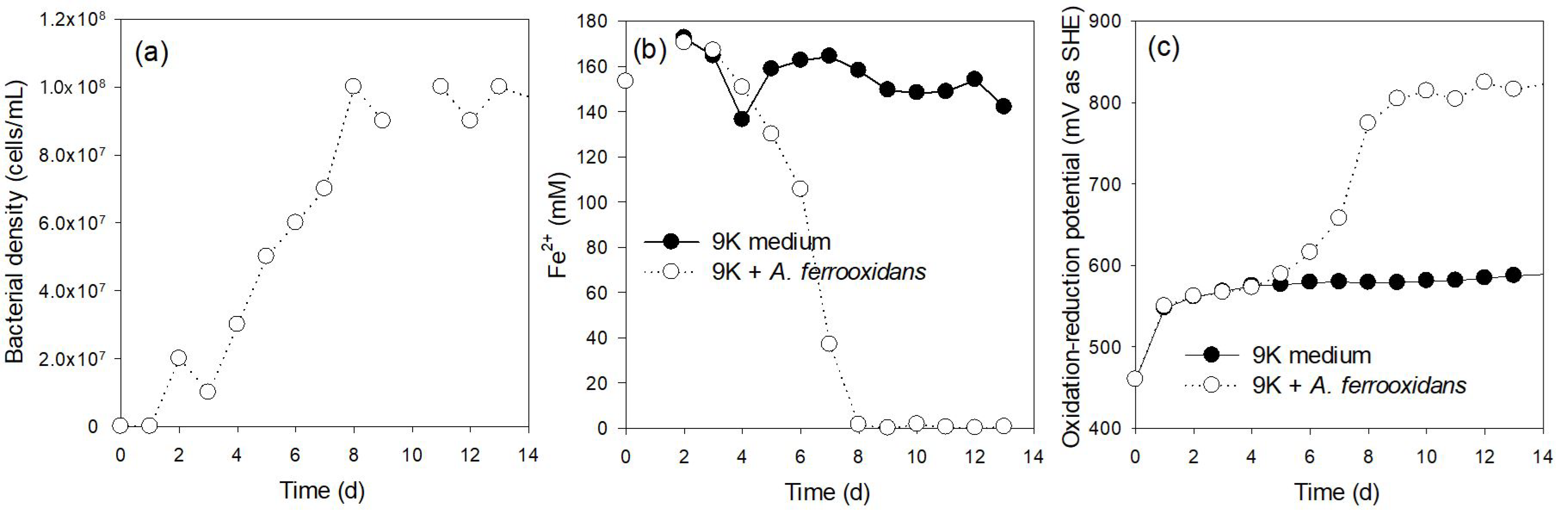 Minerals 11 00224 g001 Minerals 11 00224 g001