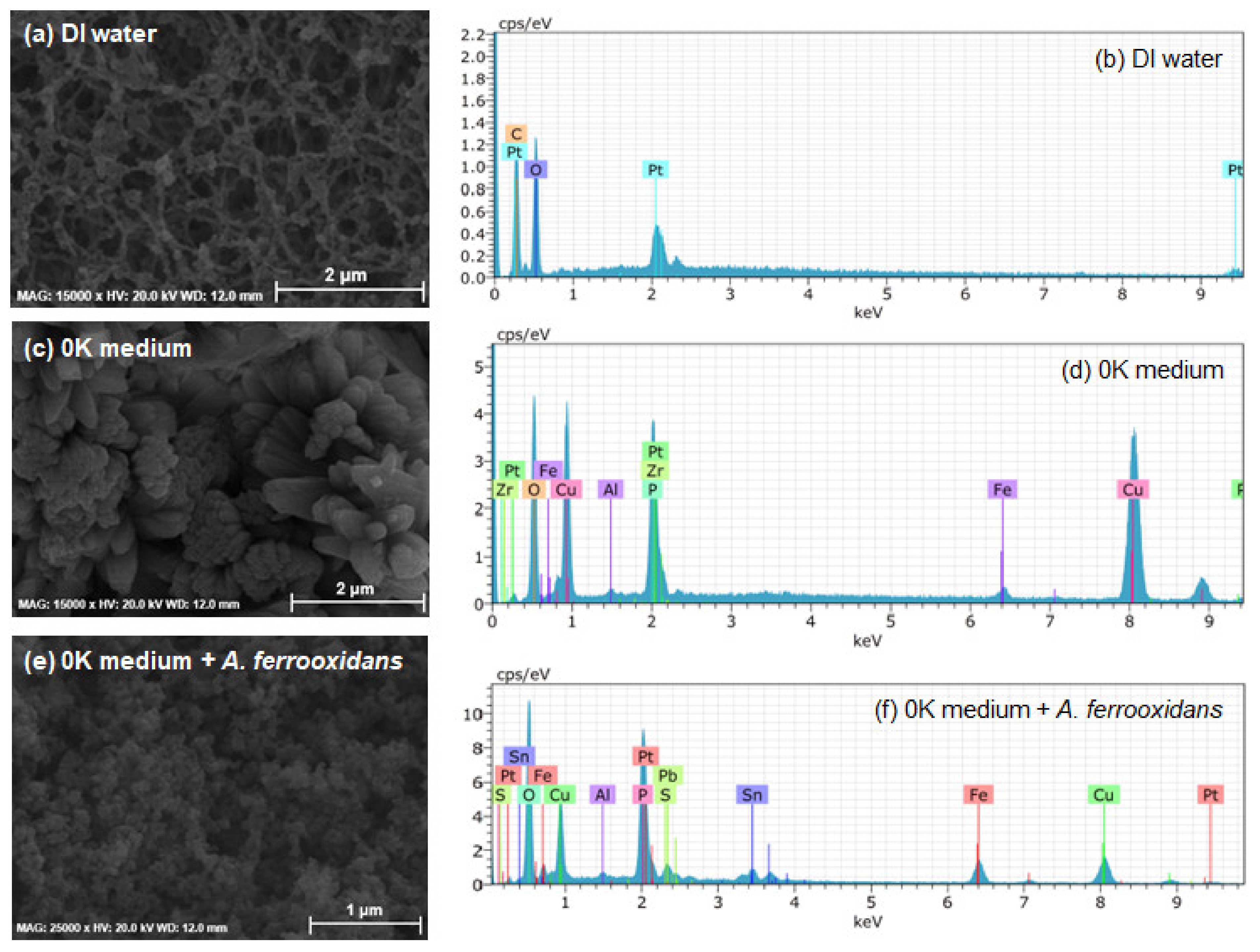 Minerals 11 00224 g004 Minerals 11 00224 g004