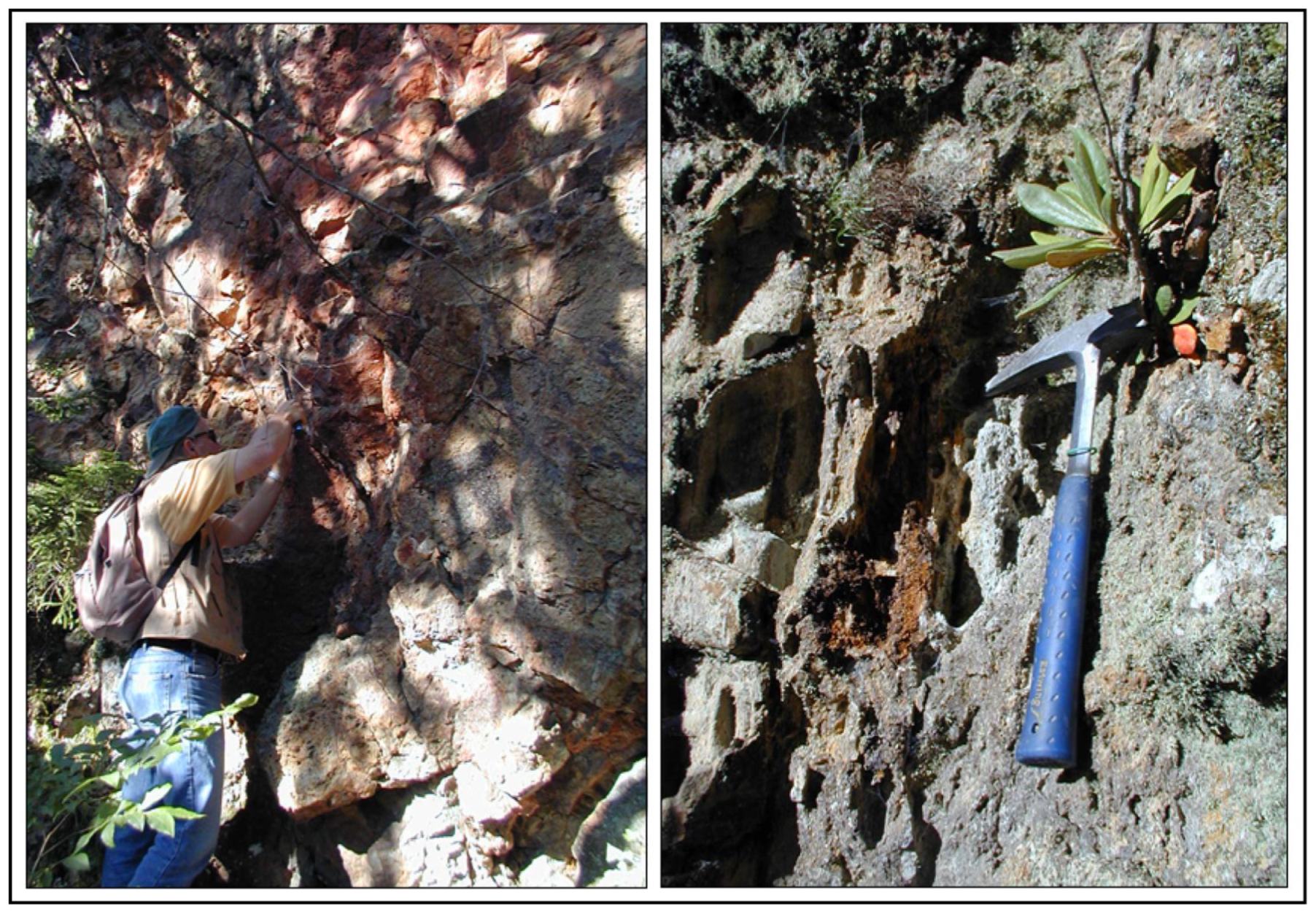 Minerals 11 00226 g007 Minerals 11 00226 g007