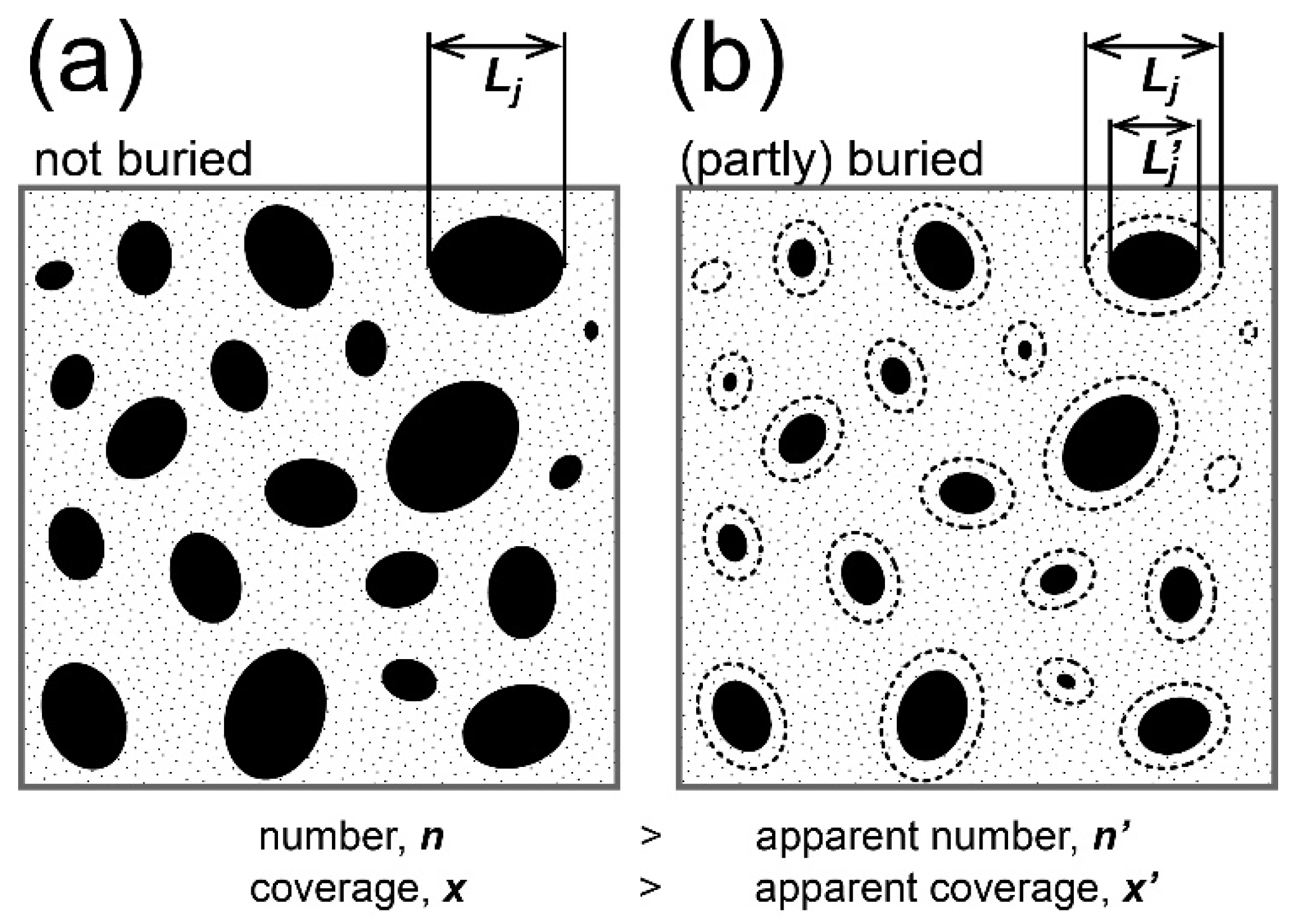 Minerals 11 00227 g001 Minerals 11 00227 g001