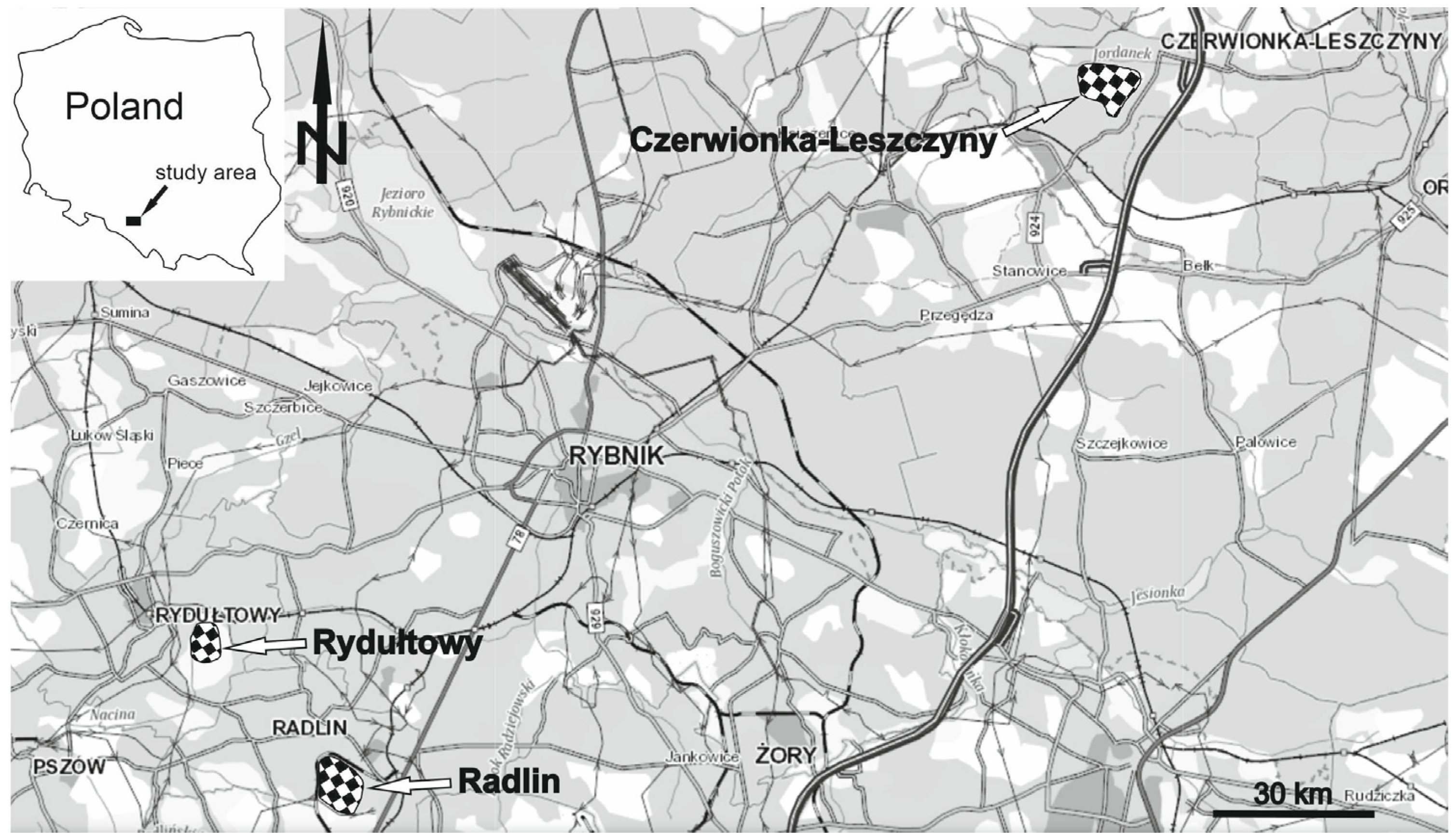 Minerals 11 00228 g001