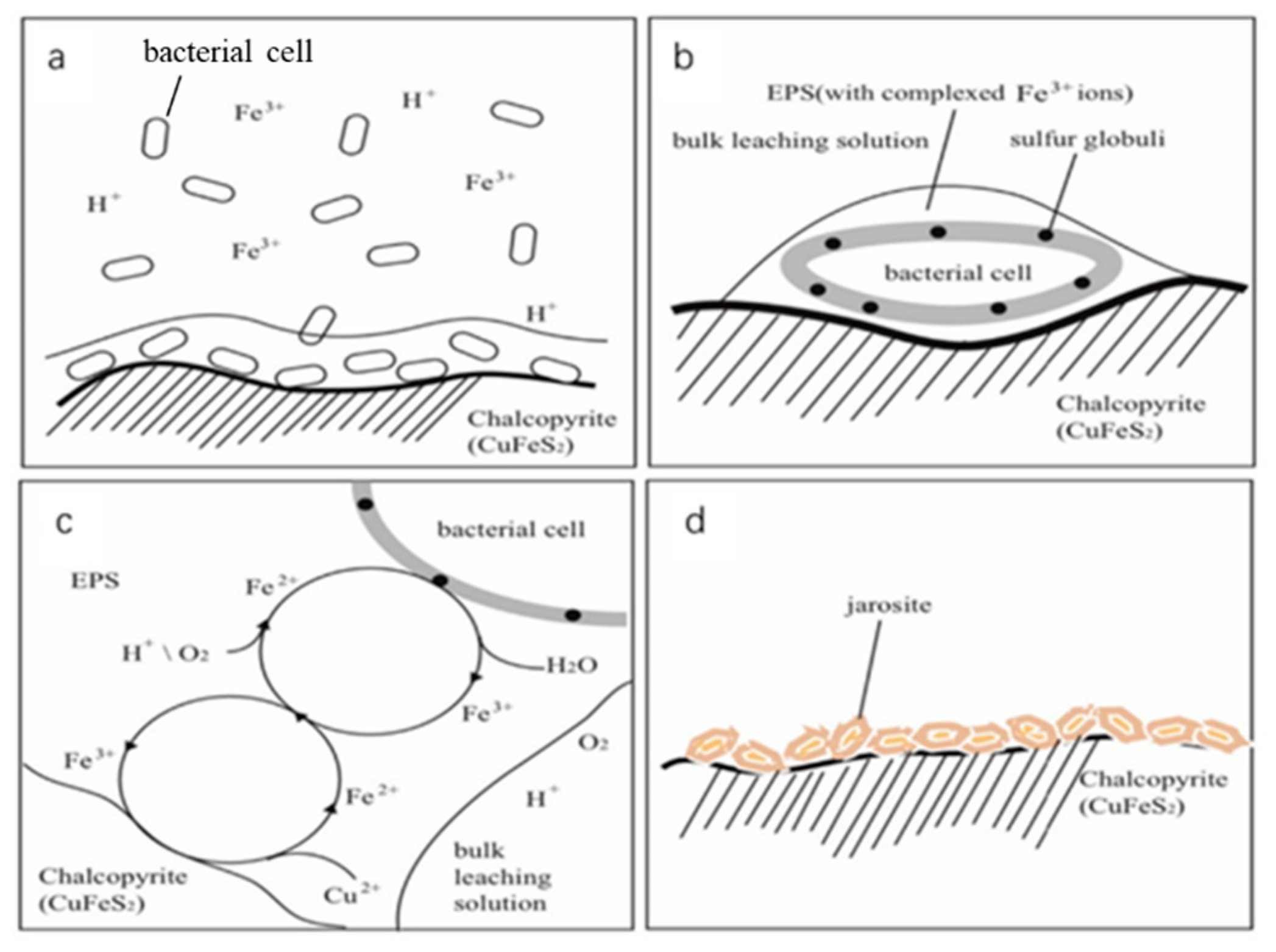 Minerals 11 00230 g010 Minerals 11 00230 g010