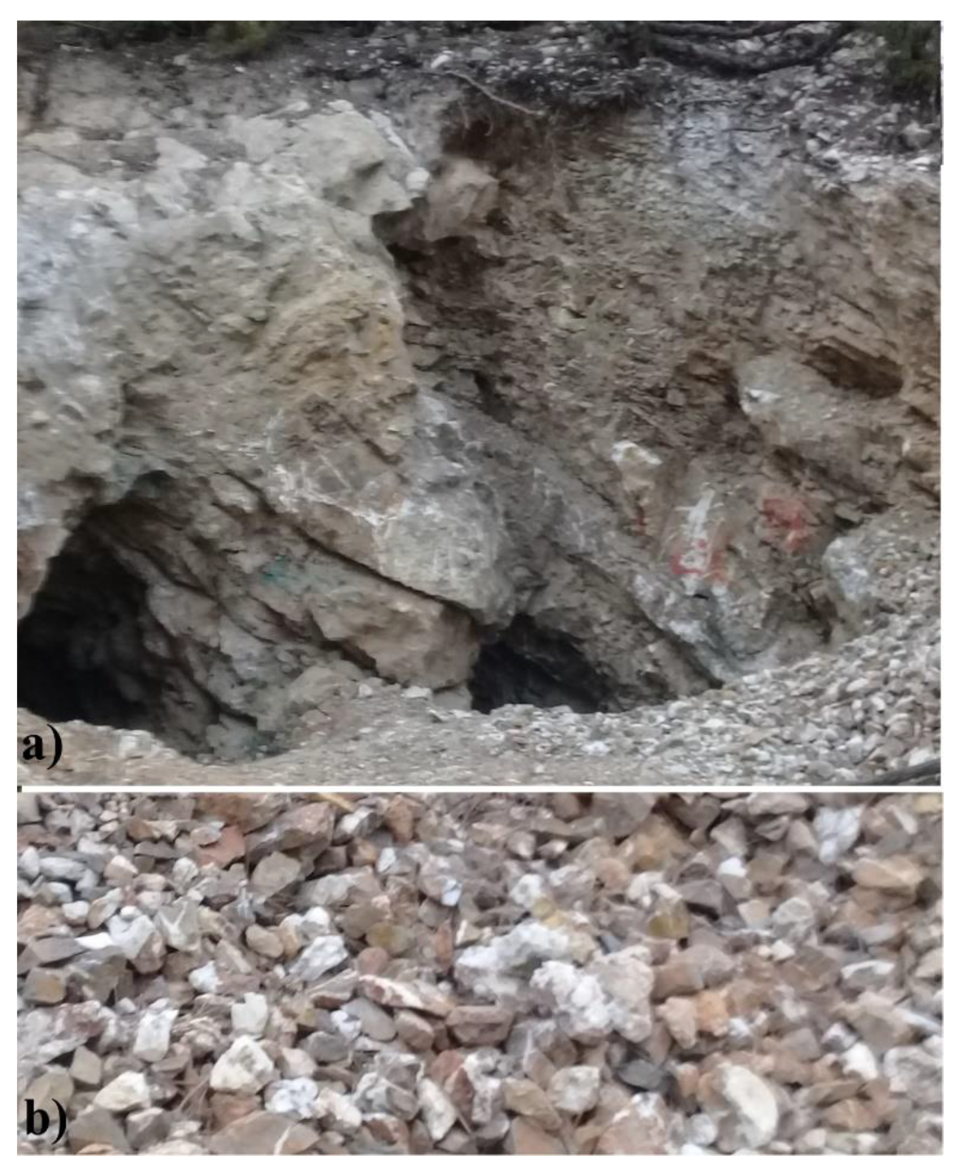 Minerals 11 00249 g005