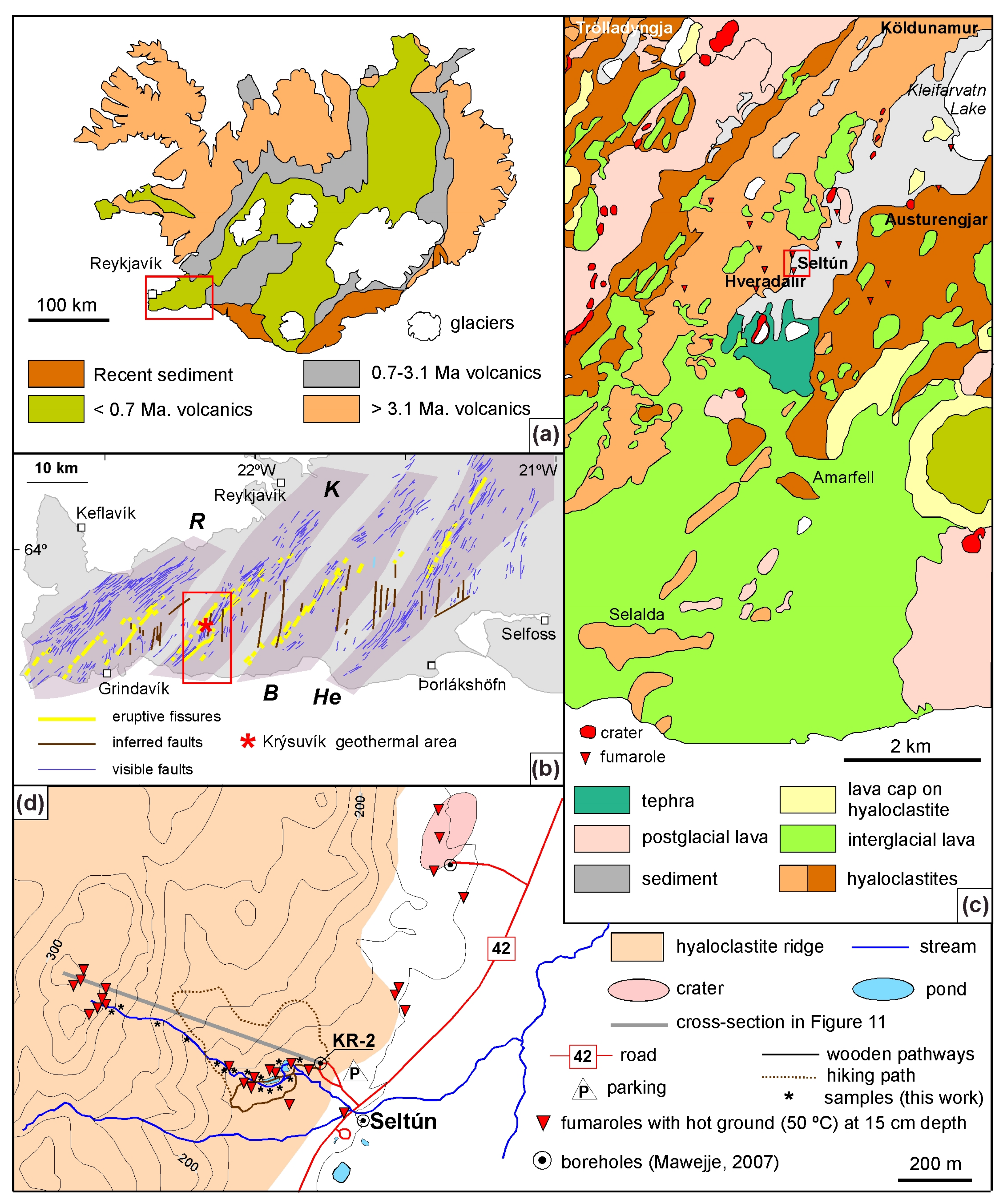 Frontiers  Distribution of Biominerals and Mineral-Organic Composites in  Plant Trichomes