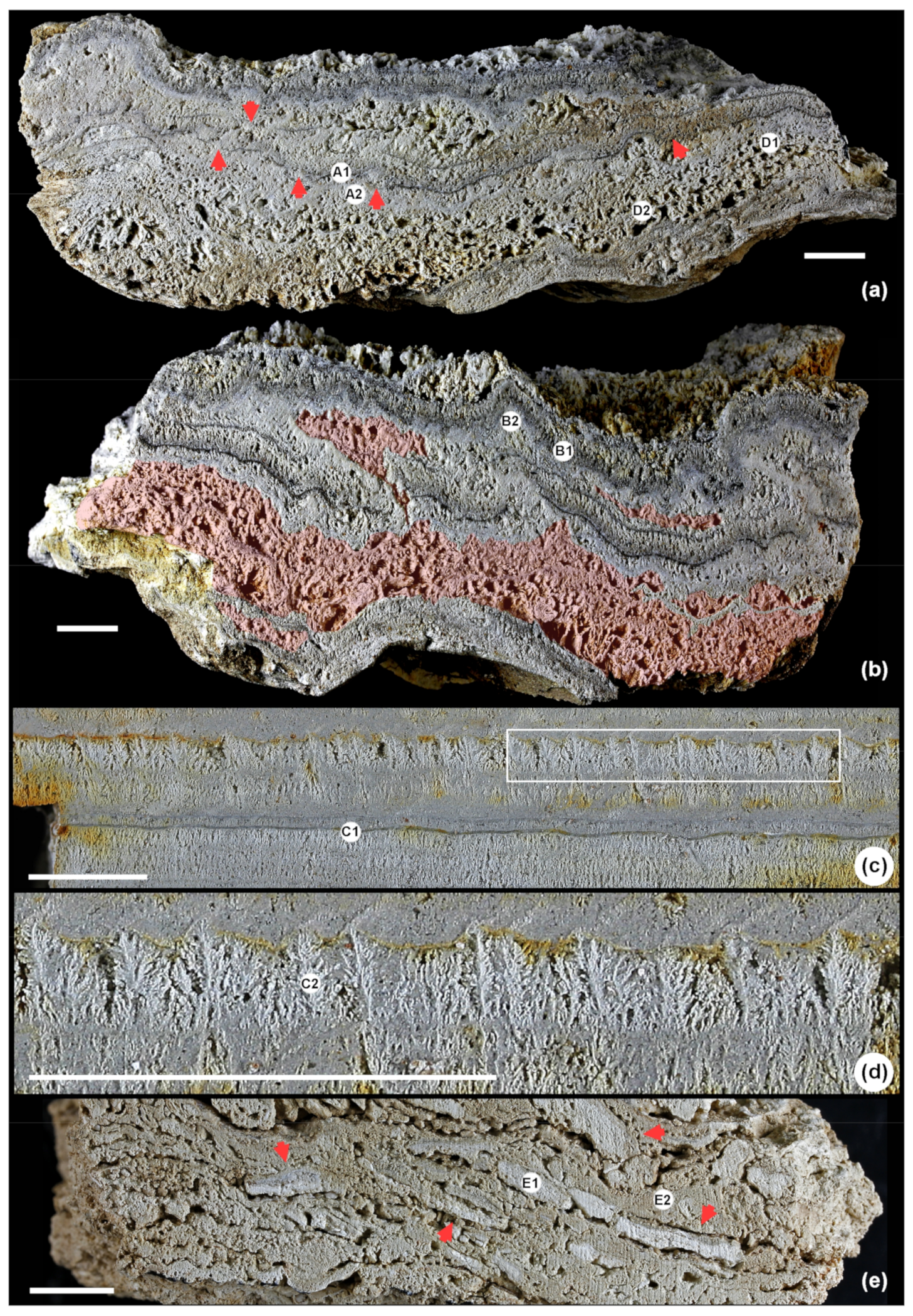Minerals 11 00263 g003 Minerals 11 00263 g003