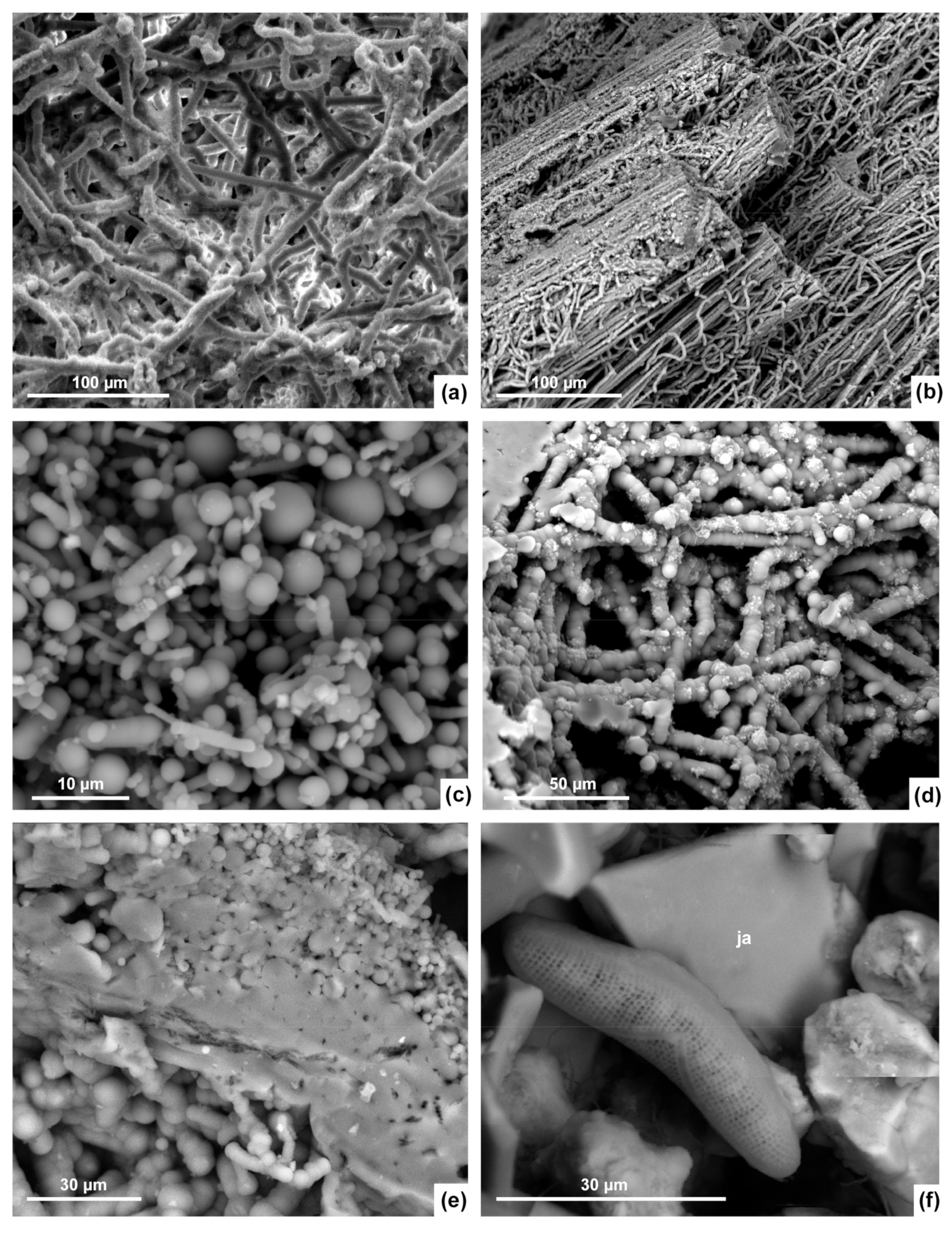 Minerals 11 00263 g005 Minerals 11 00263 g005