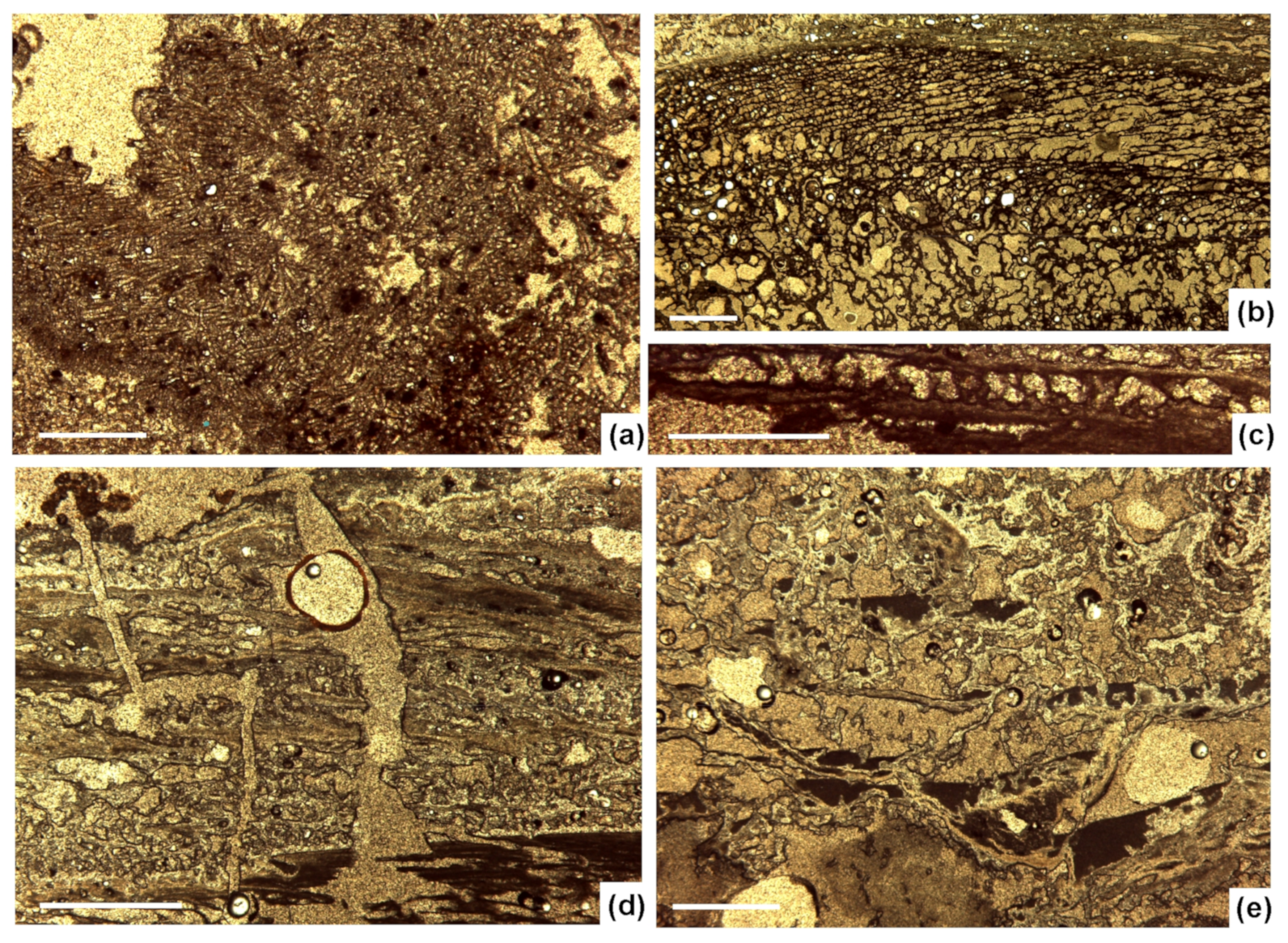 Minerals 11 00263 g006 Minerals 11 00263 g006