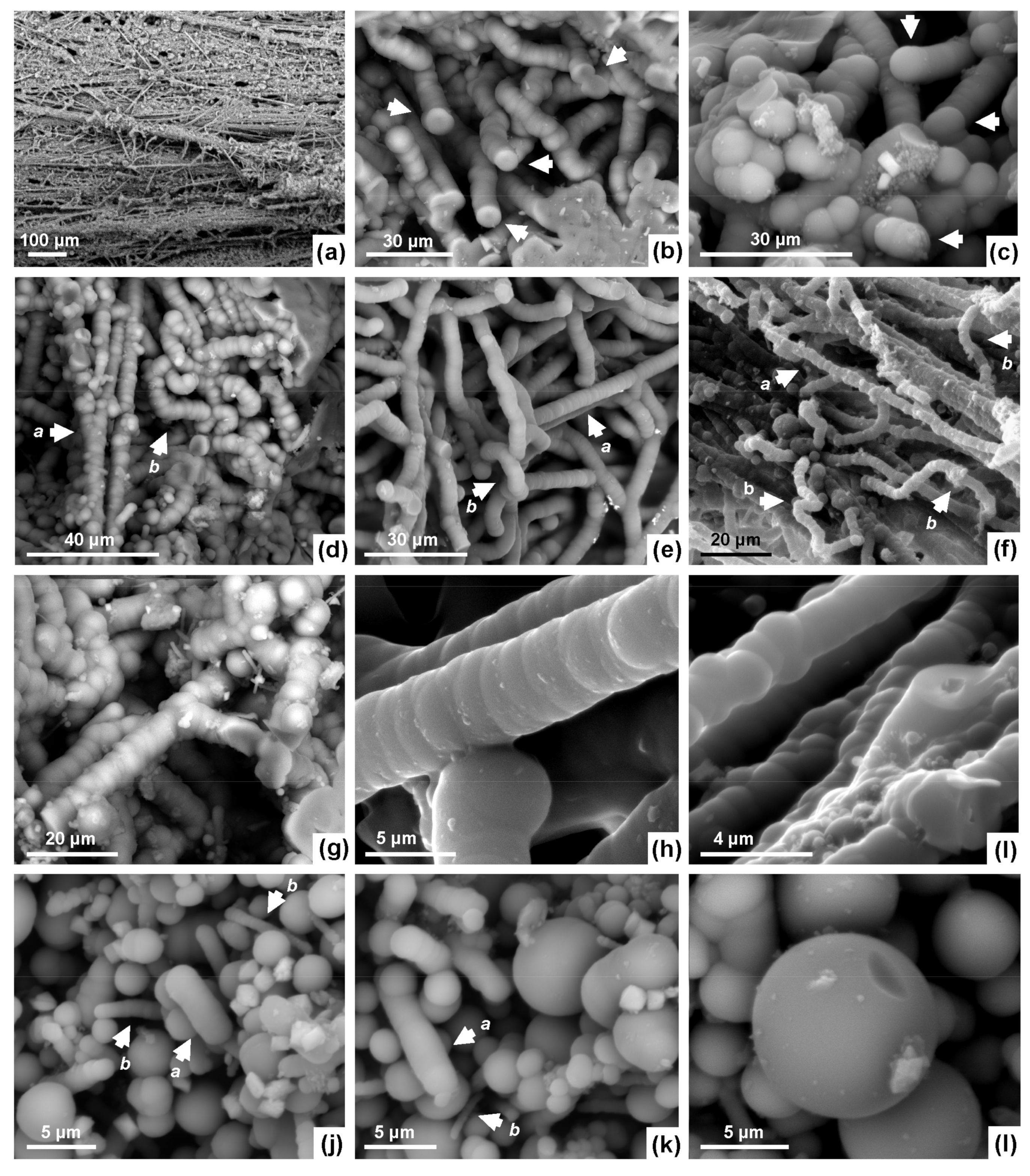 Minerals 11 00263 g008 Minerals 11 00263 g008