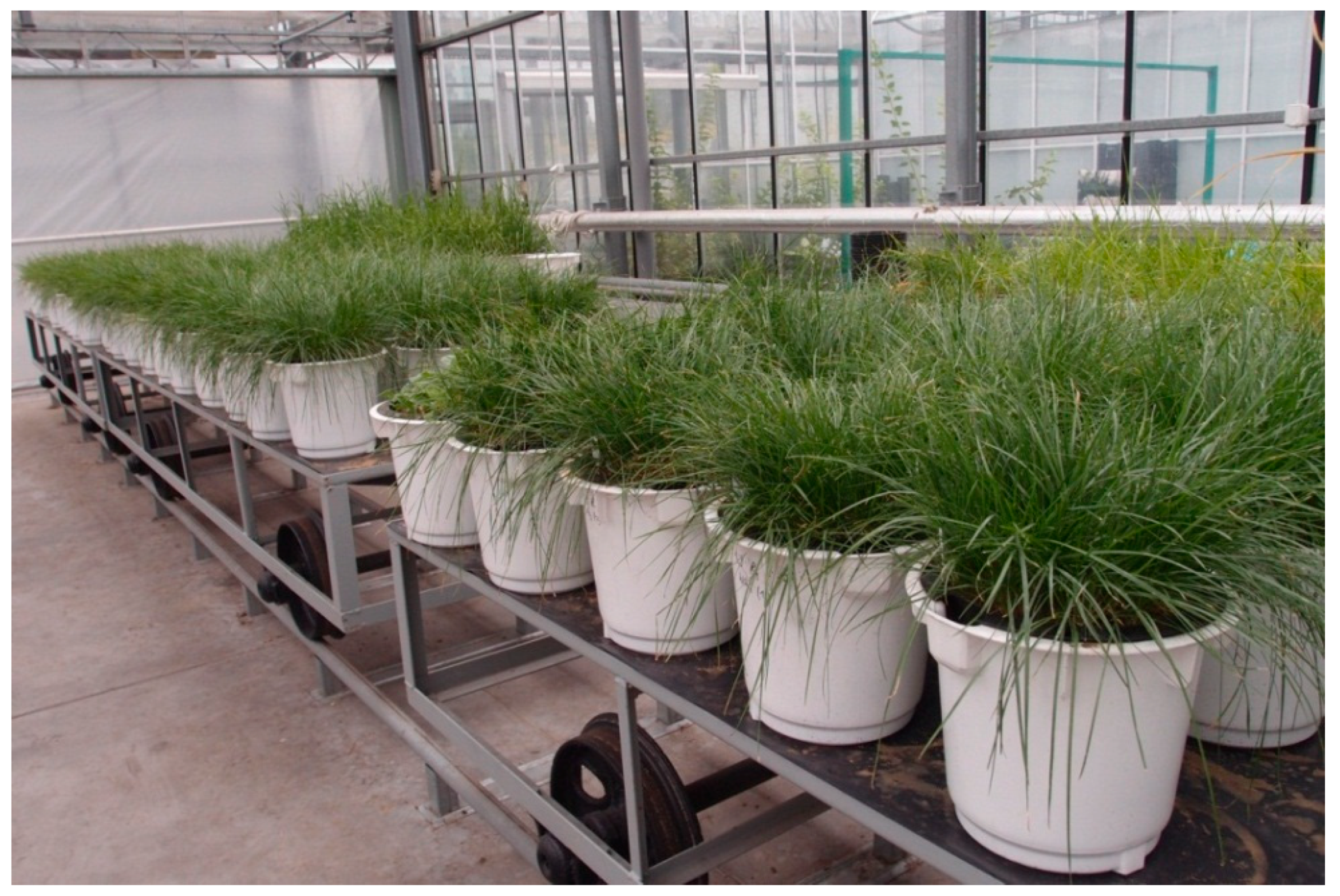 Minerals 11 00268 g001