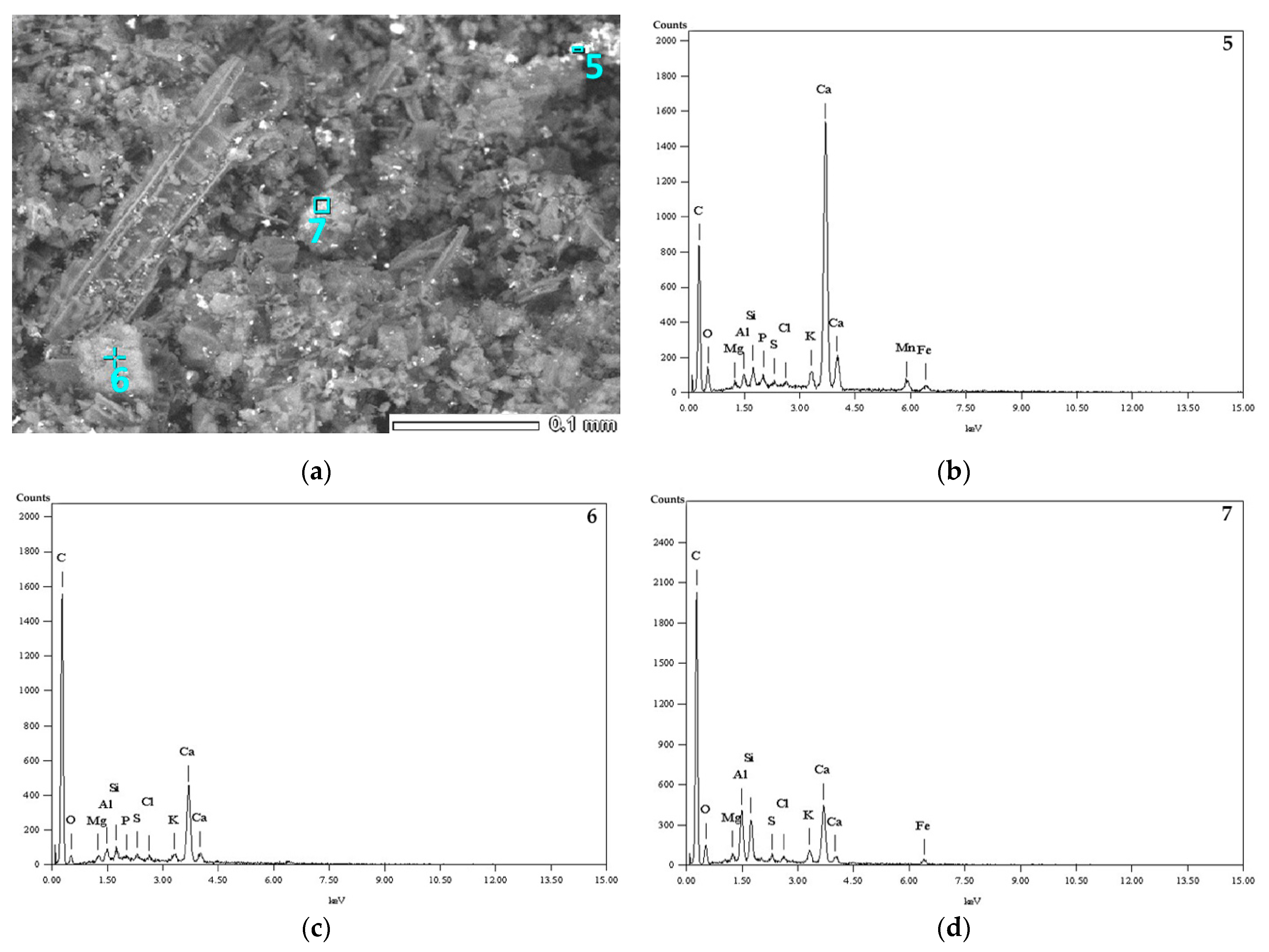Minerals 11 00268 g006