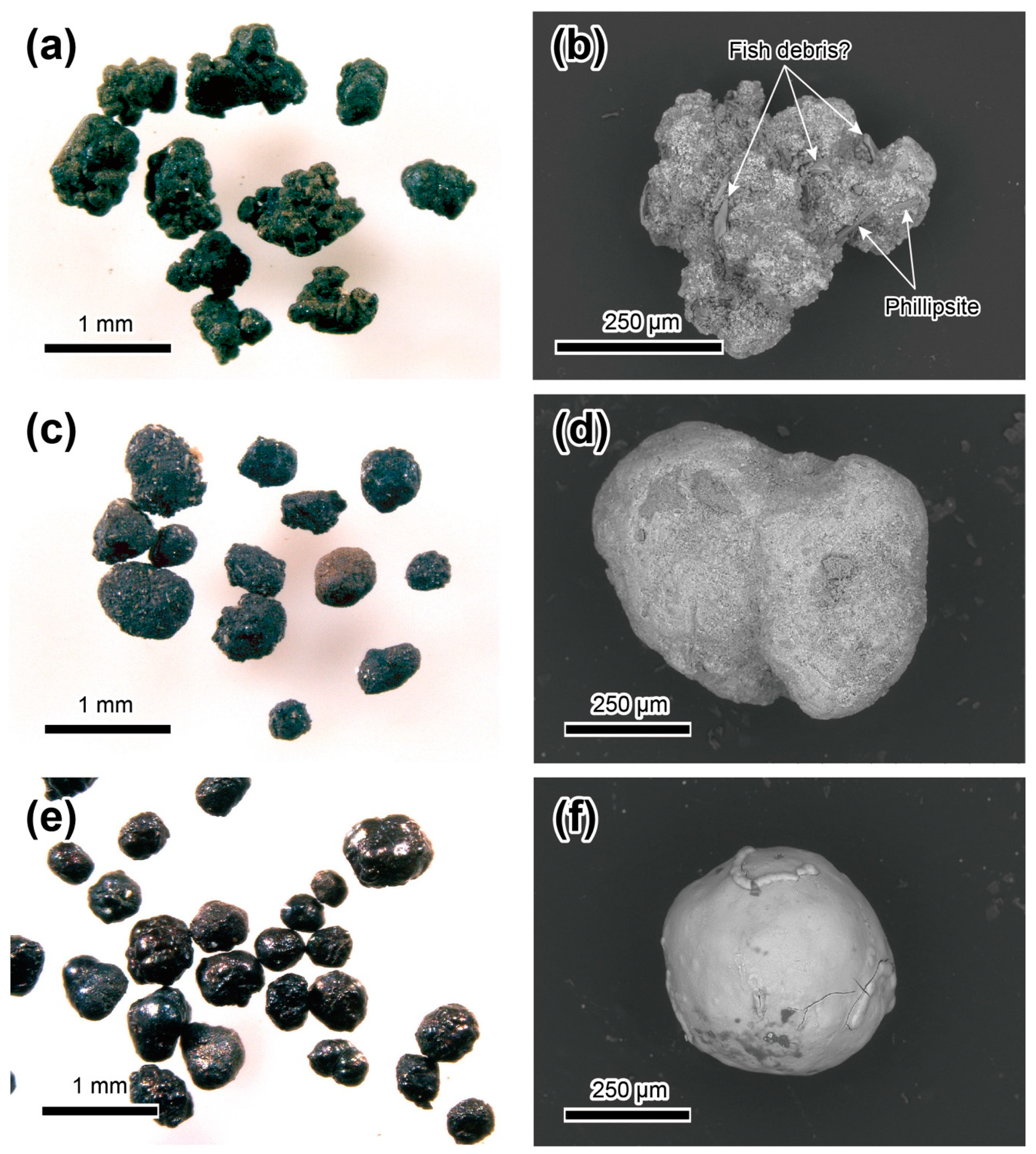 Minerals 11 00270 g008