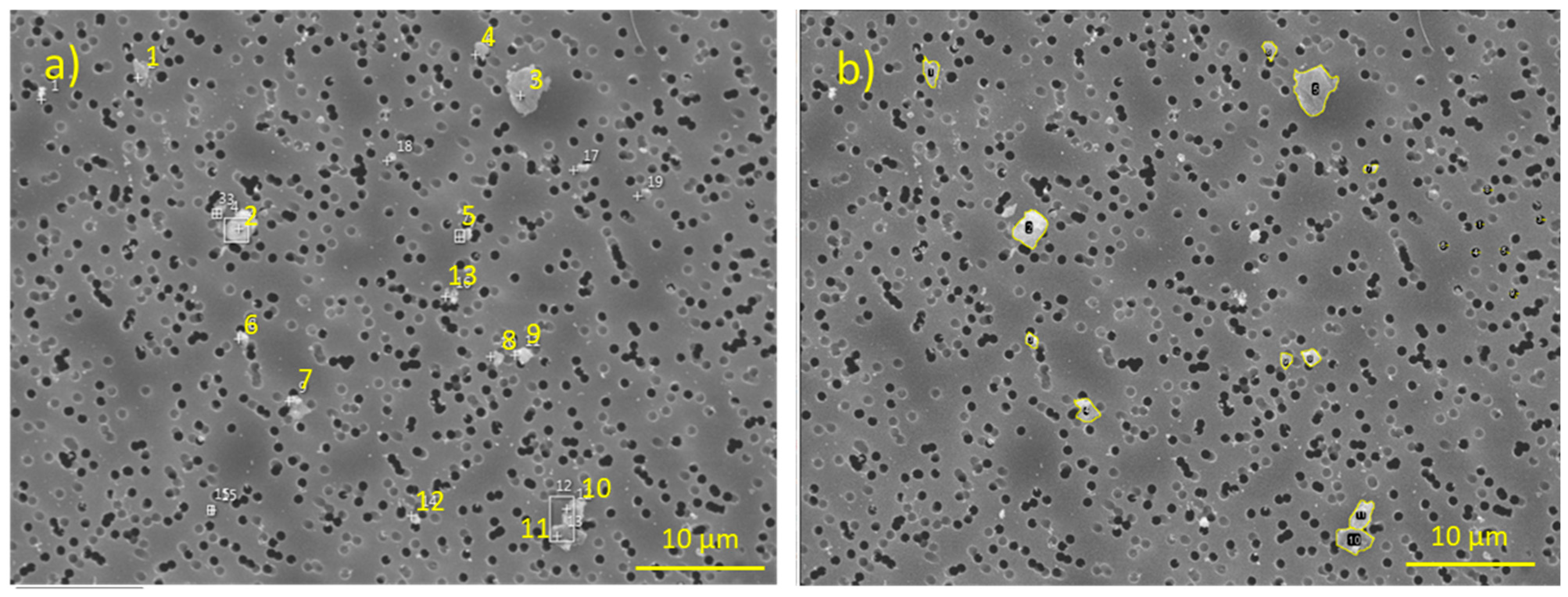 Minerals 11 00276 g001