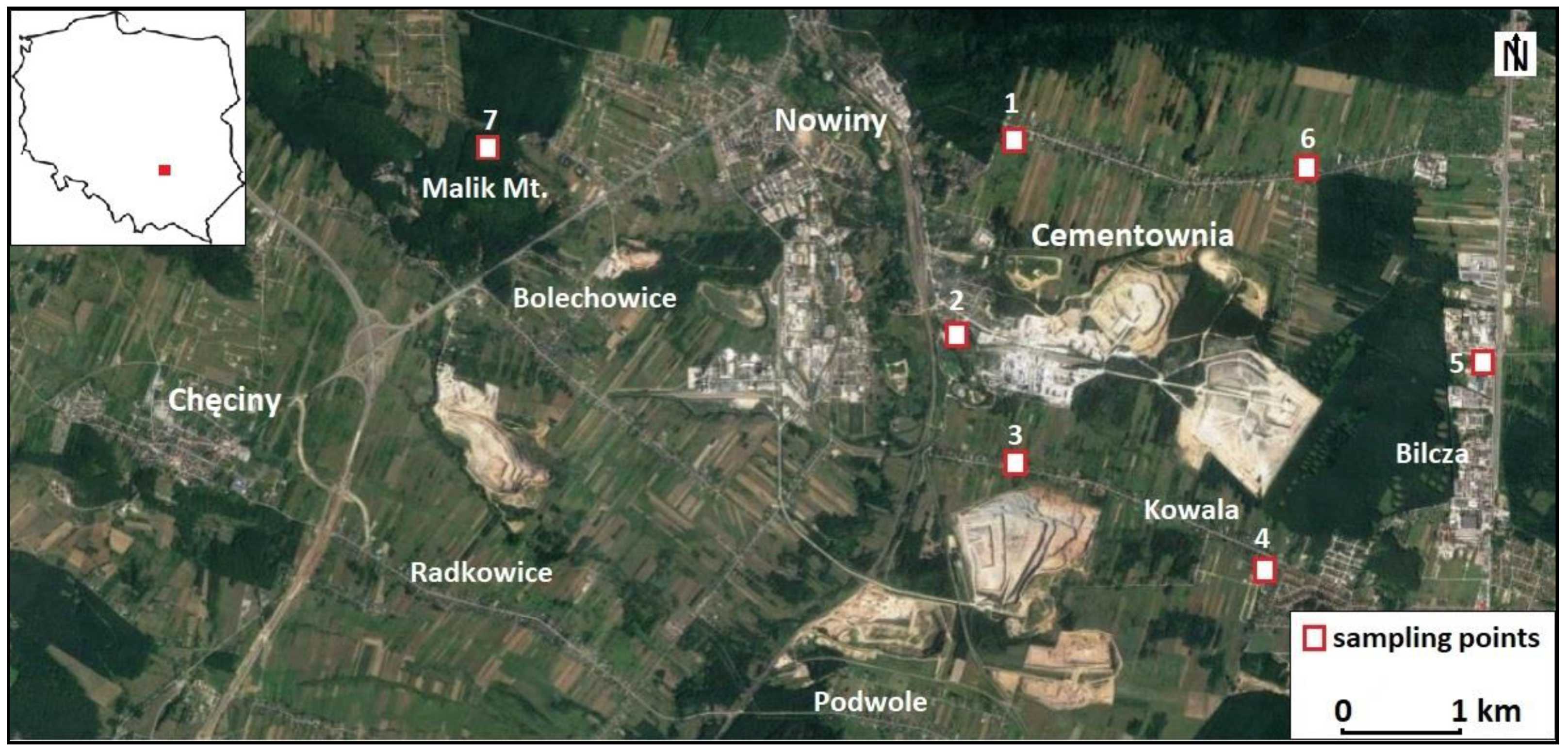 Minerals 11 00277 g001 Minerals 11 00277 g001