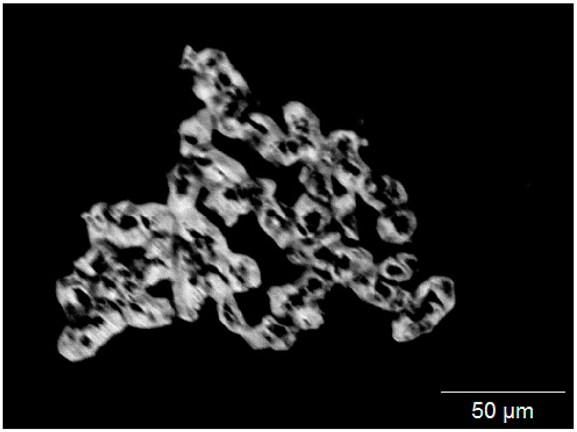 Minerals 11 00290 g002 Minerals 11 00290 g002