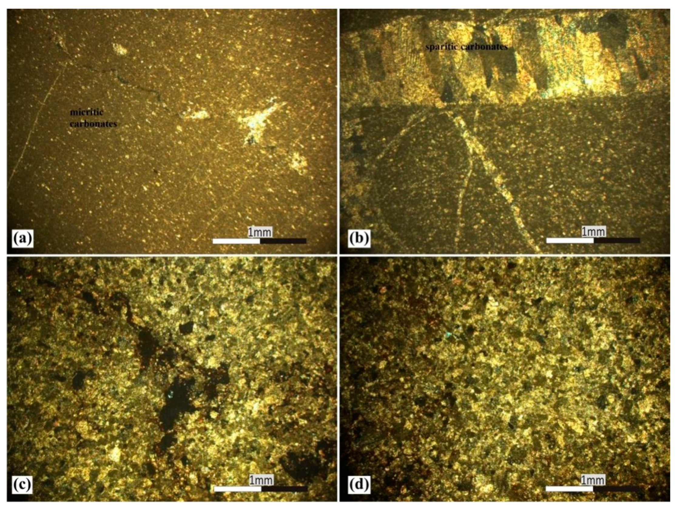 Minerals 11 00300 g022 Minerals 11 00300 g022