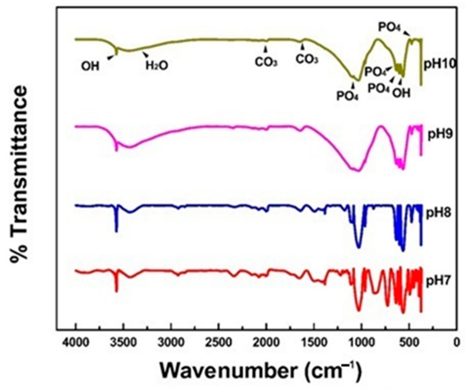 Minerals 11 00314 g005 Minerals 11 00314 g005