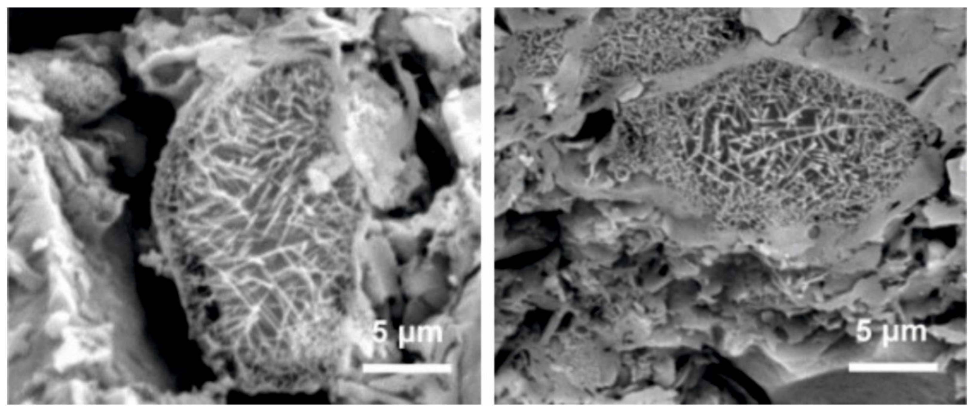 Minerals 11 00332 g010 Minerals 11 00332 g010