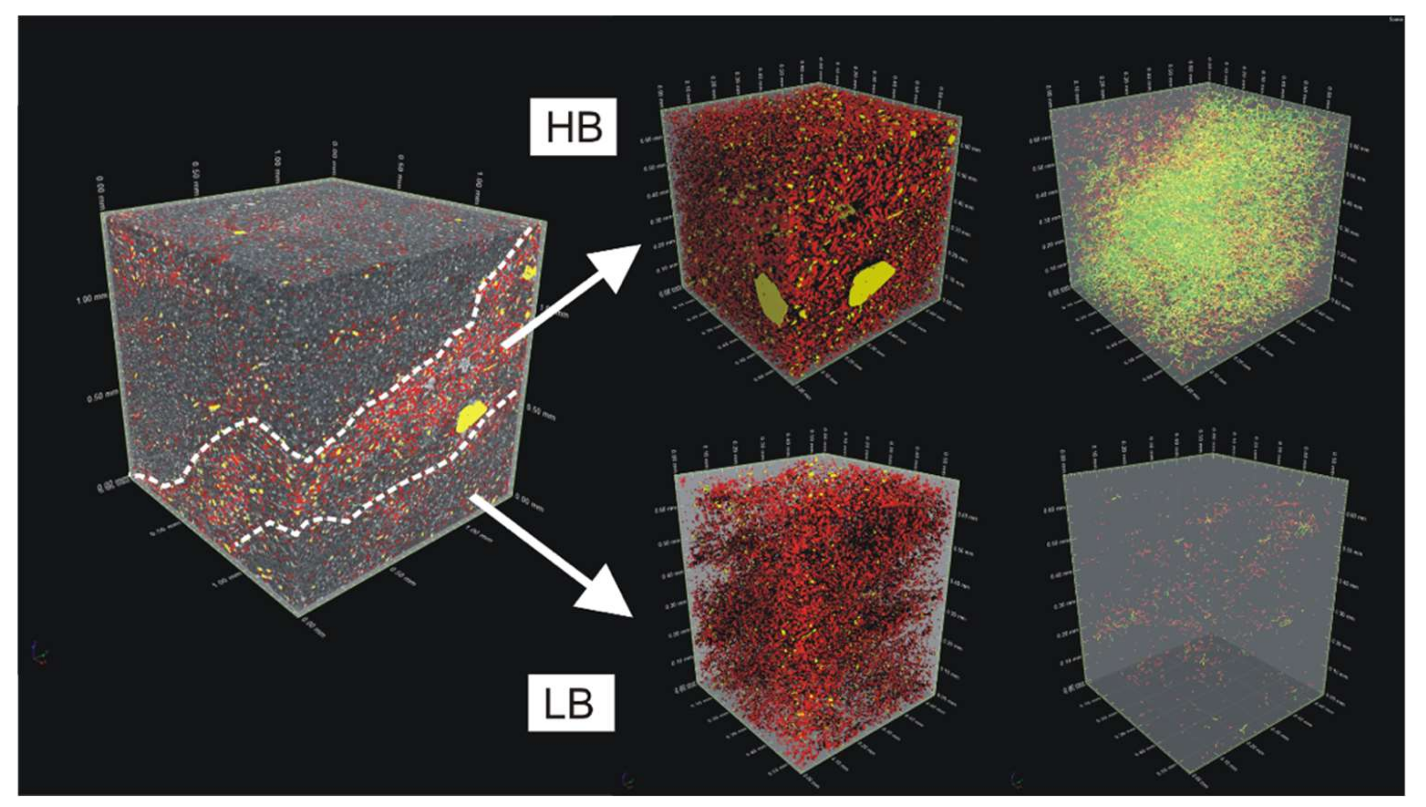 Minerals 11 00333 g003 Minerals 11 00333 g003