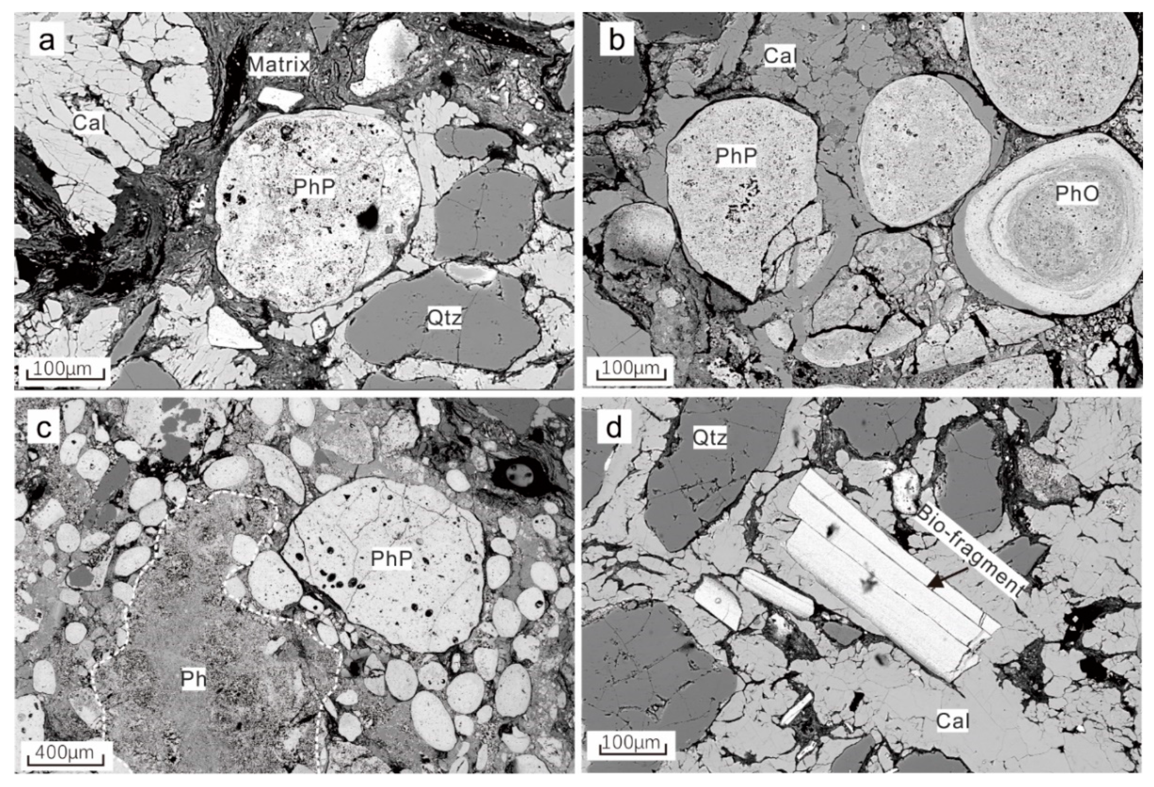 Minerals 11 00350 g002